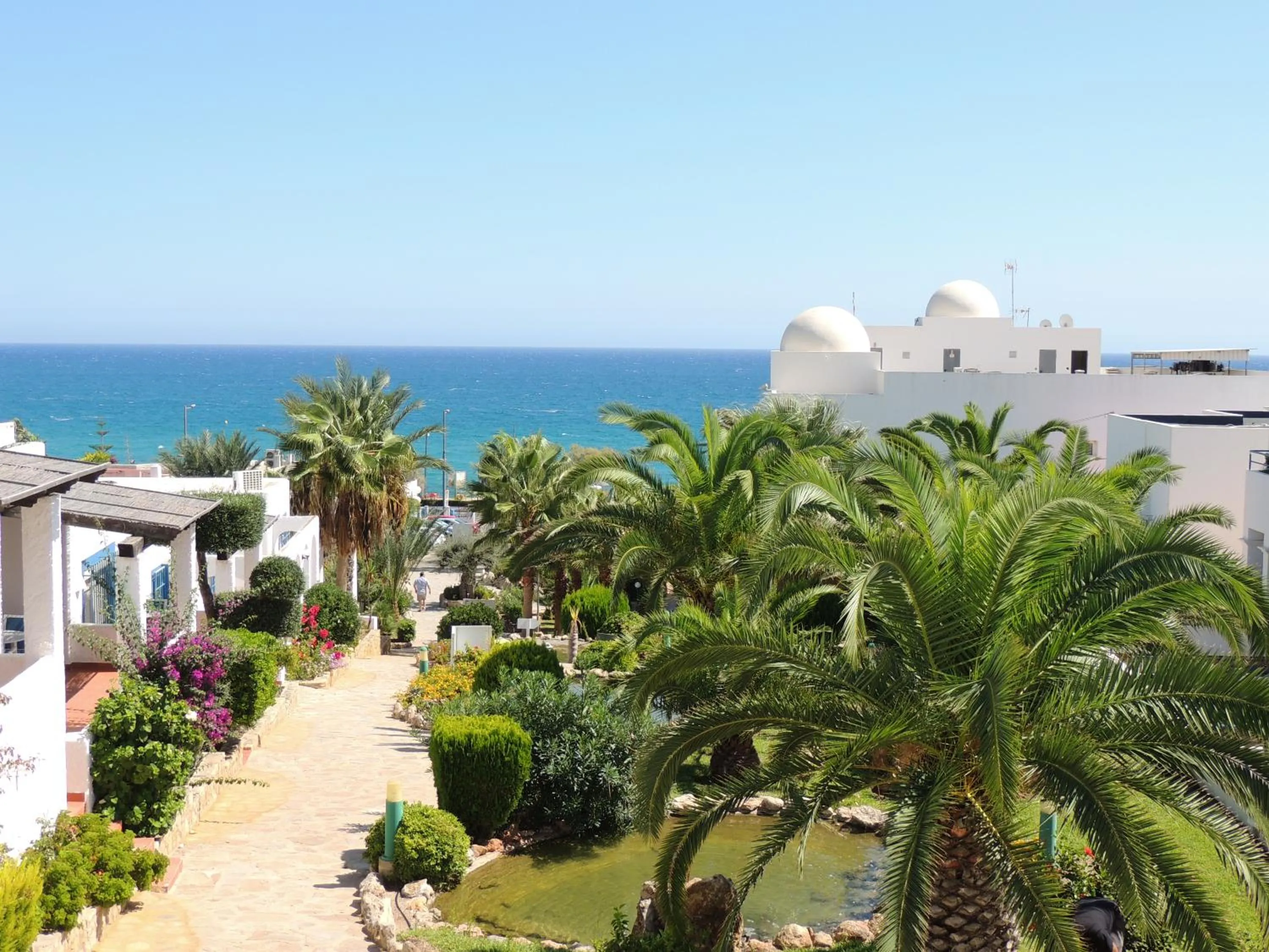 Garden view in Hotel Puntazo II