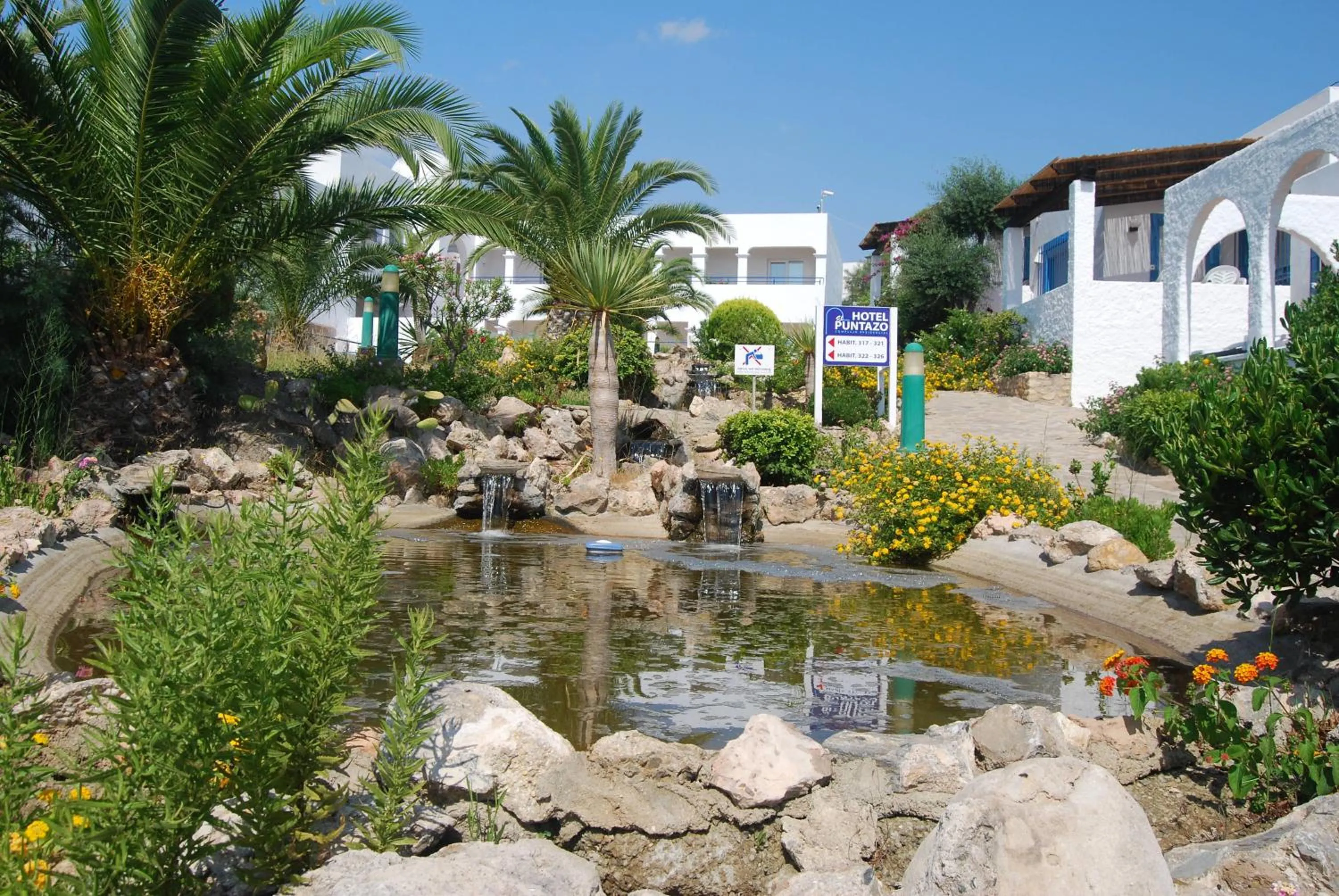 Garden in Hotel Puntazo II