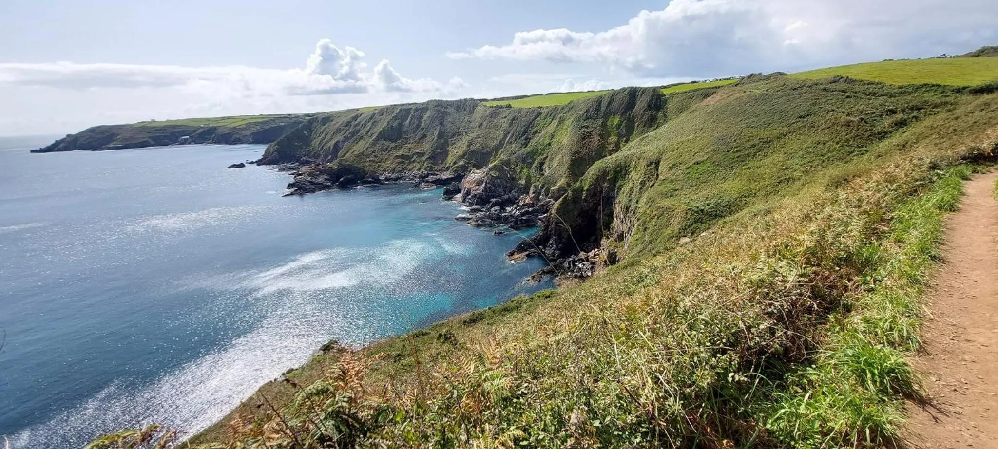 Natural landscape in Cadgwith Cove Inn