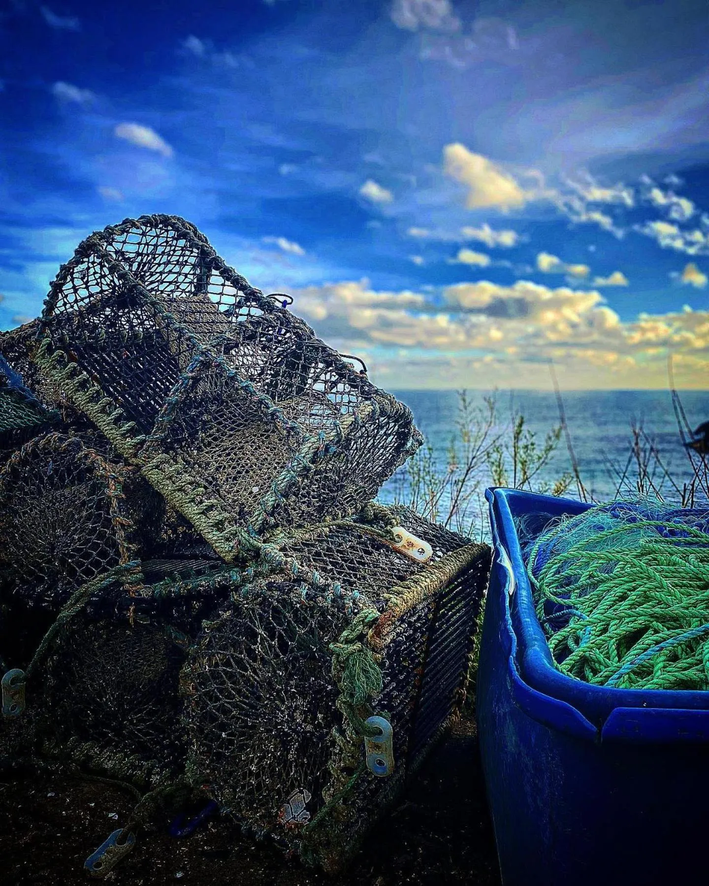 Natural landscape in Cadgwith Cove Inn