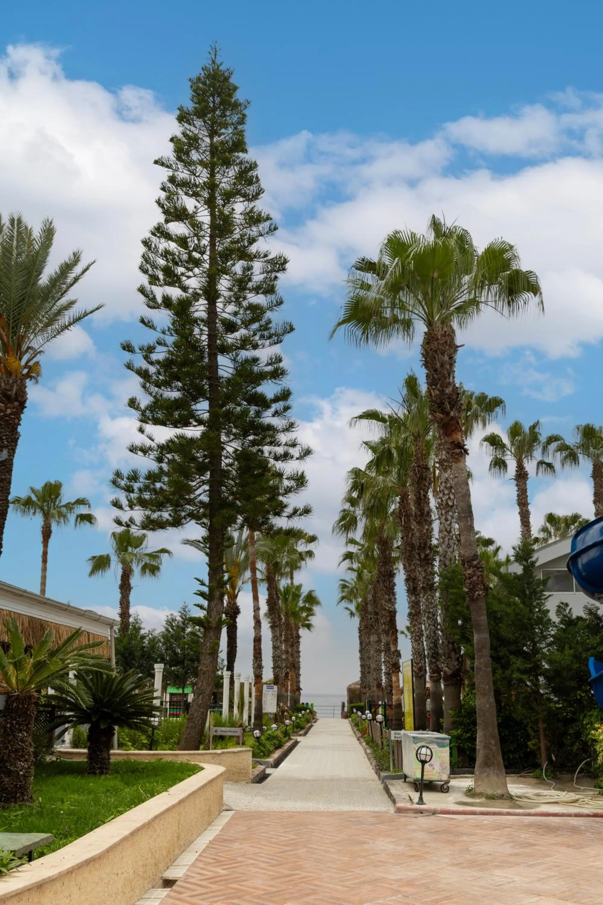 Natural landscape in Holiday Park Resort - Ultra All İnclusive