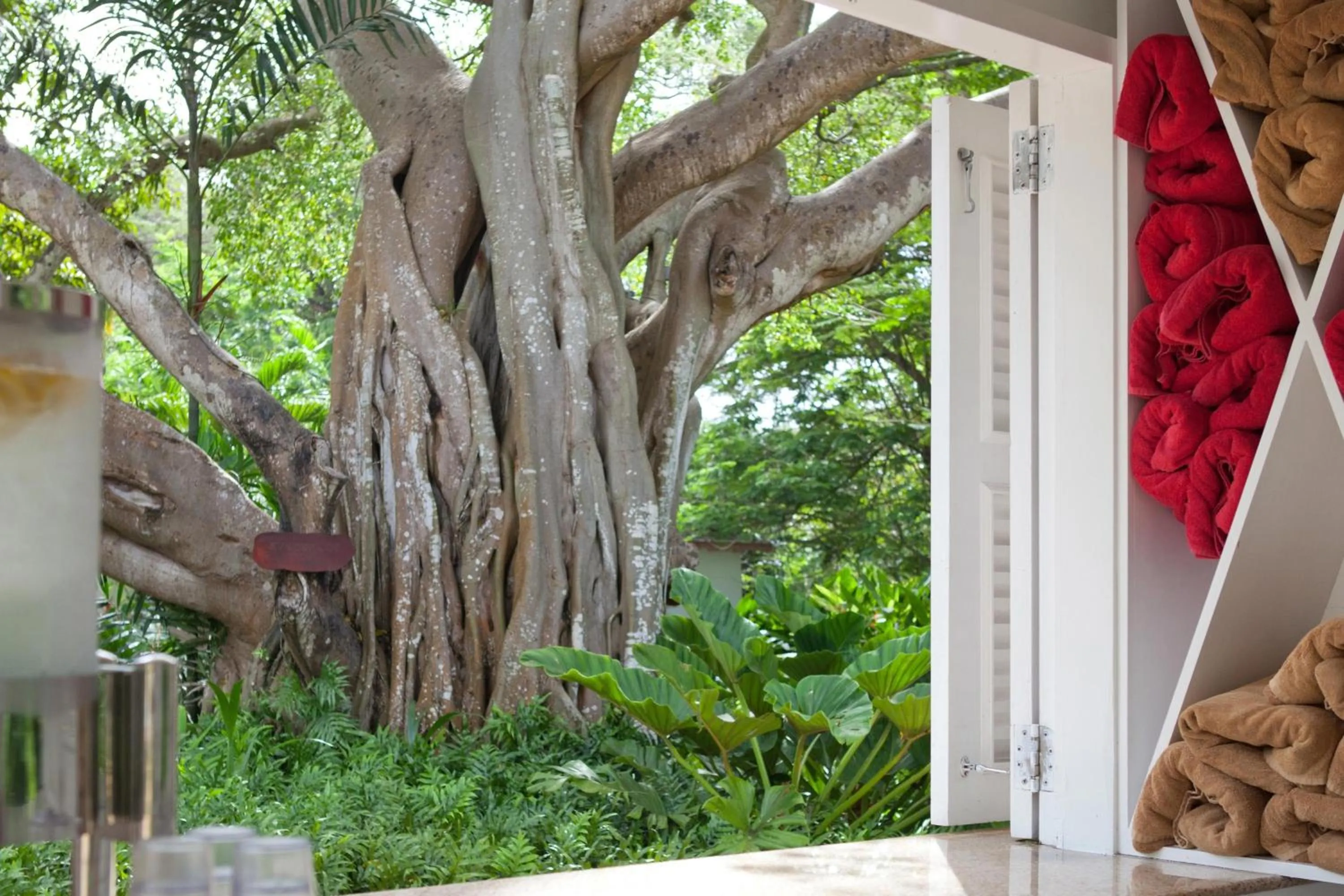 Swimming pool in Colony Club, a Luxury Collection Resort, Barbados