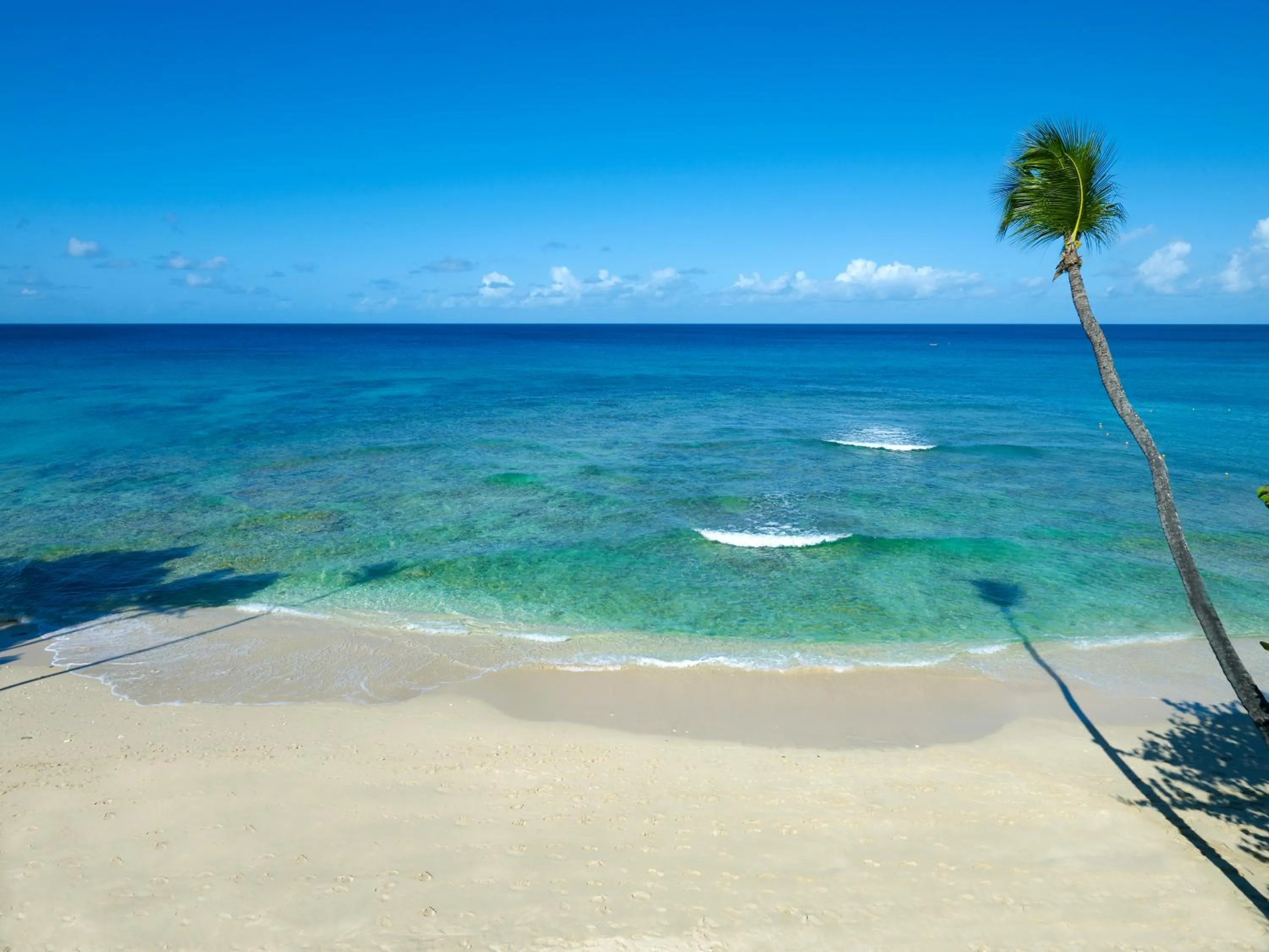 Beach in Tamarind by Elegant Hotels - All-Inclusive