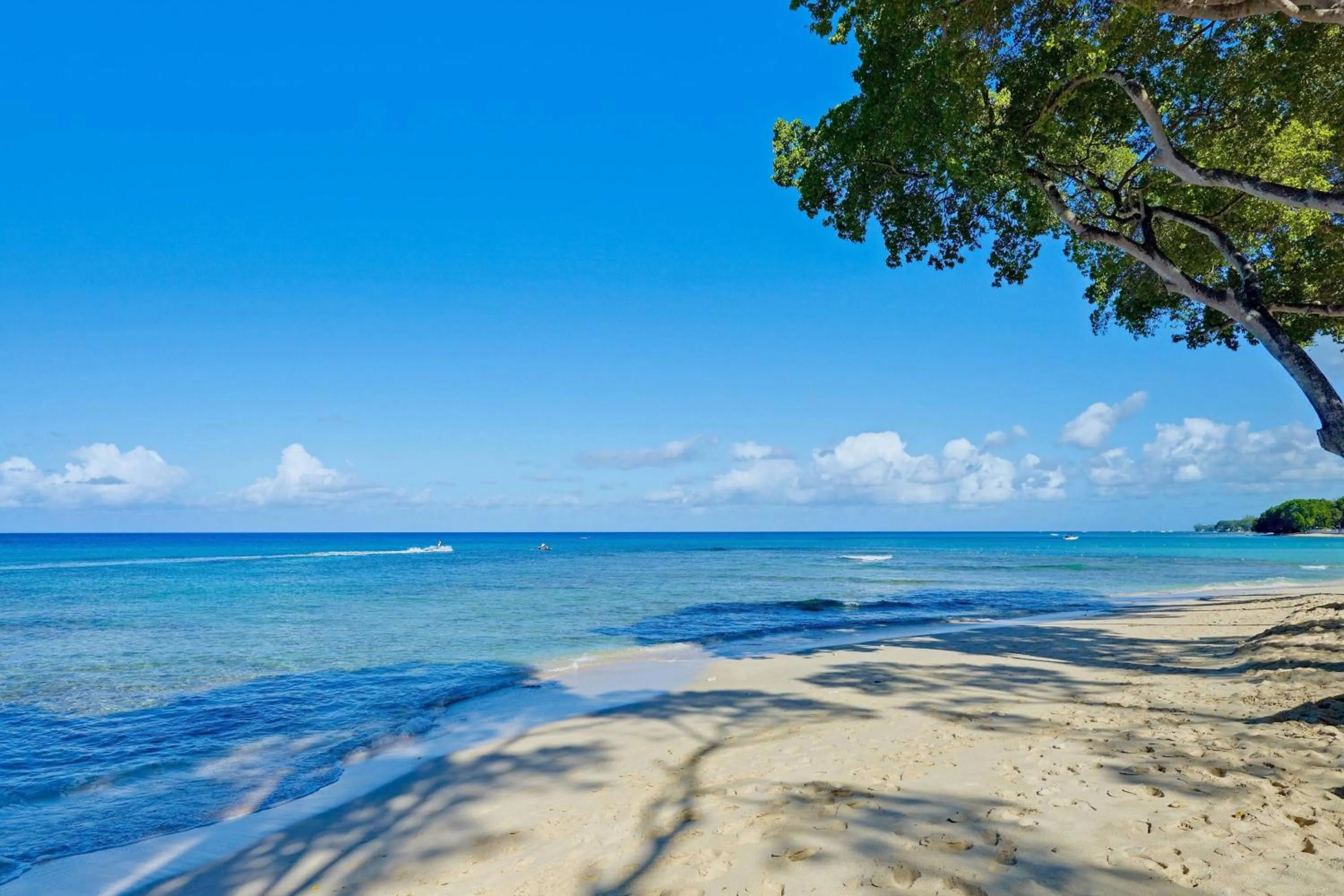 Beach in Tamarind by Elegant Hotels - All-Inclusive