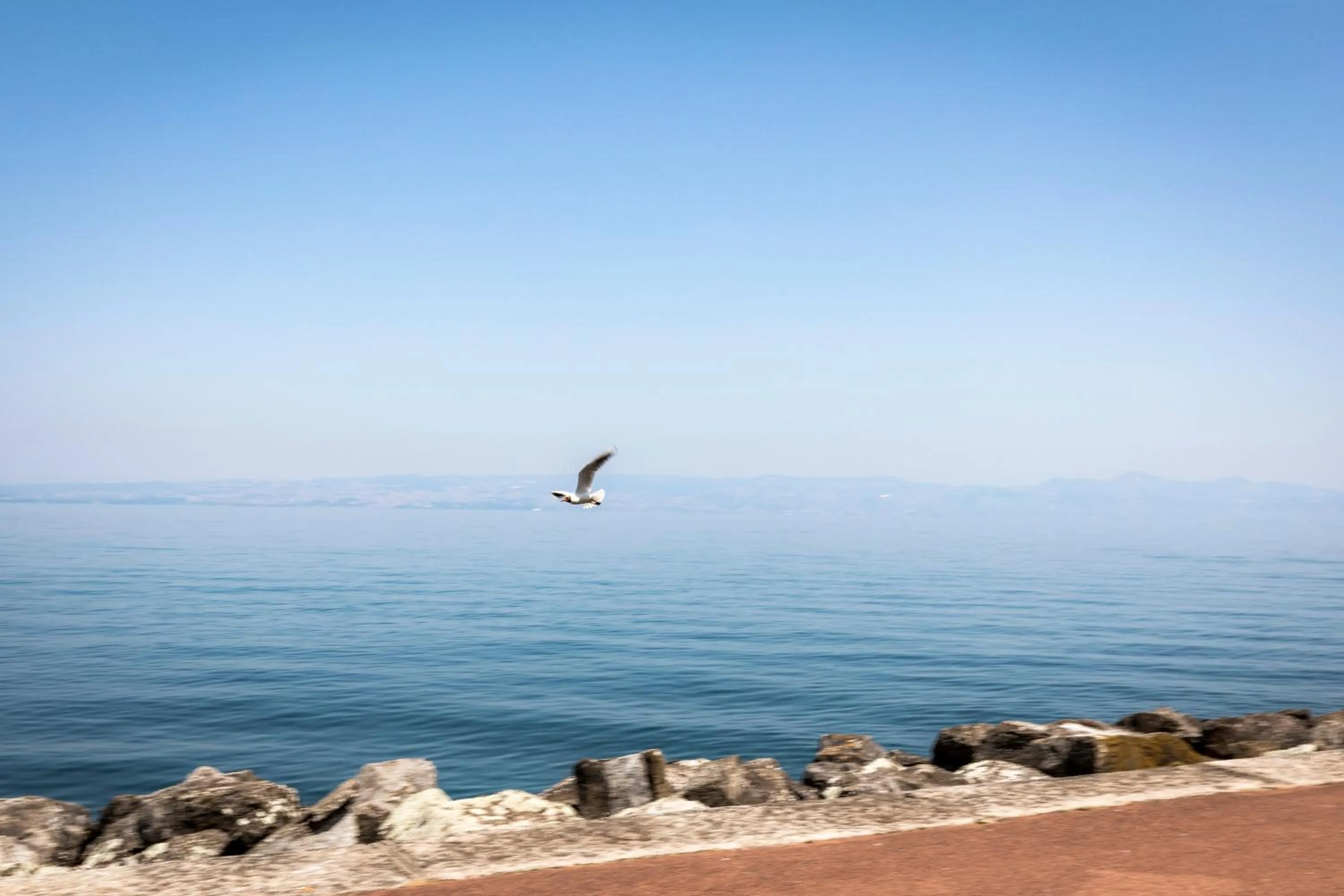 Neighbourhood in Hotel Le Littoral