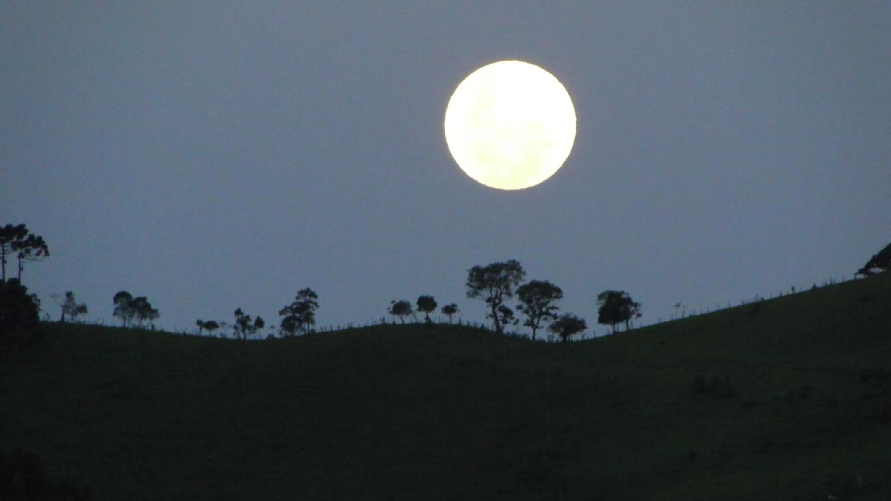 View (from property/room) in Tô na Roça