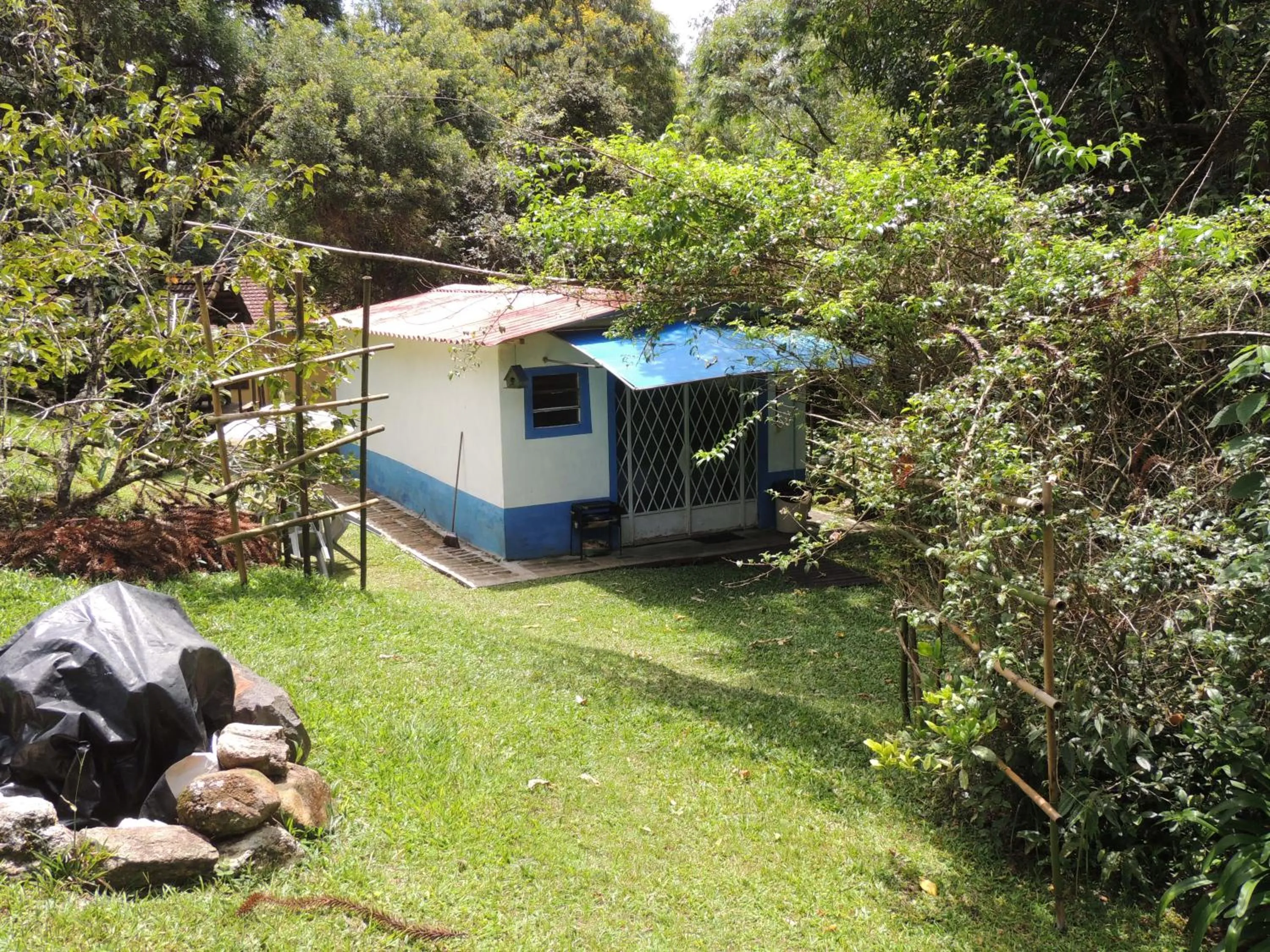 Property building in Tô na Roça