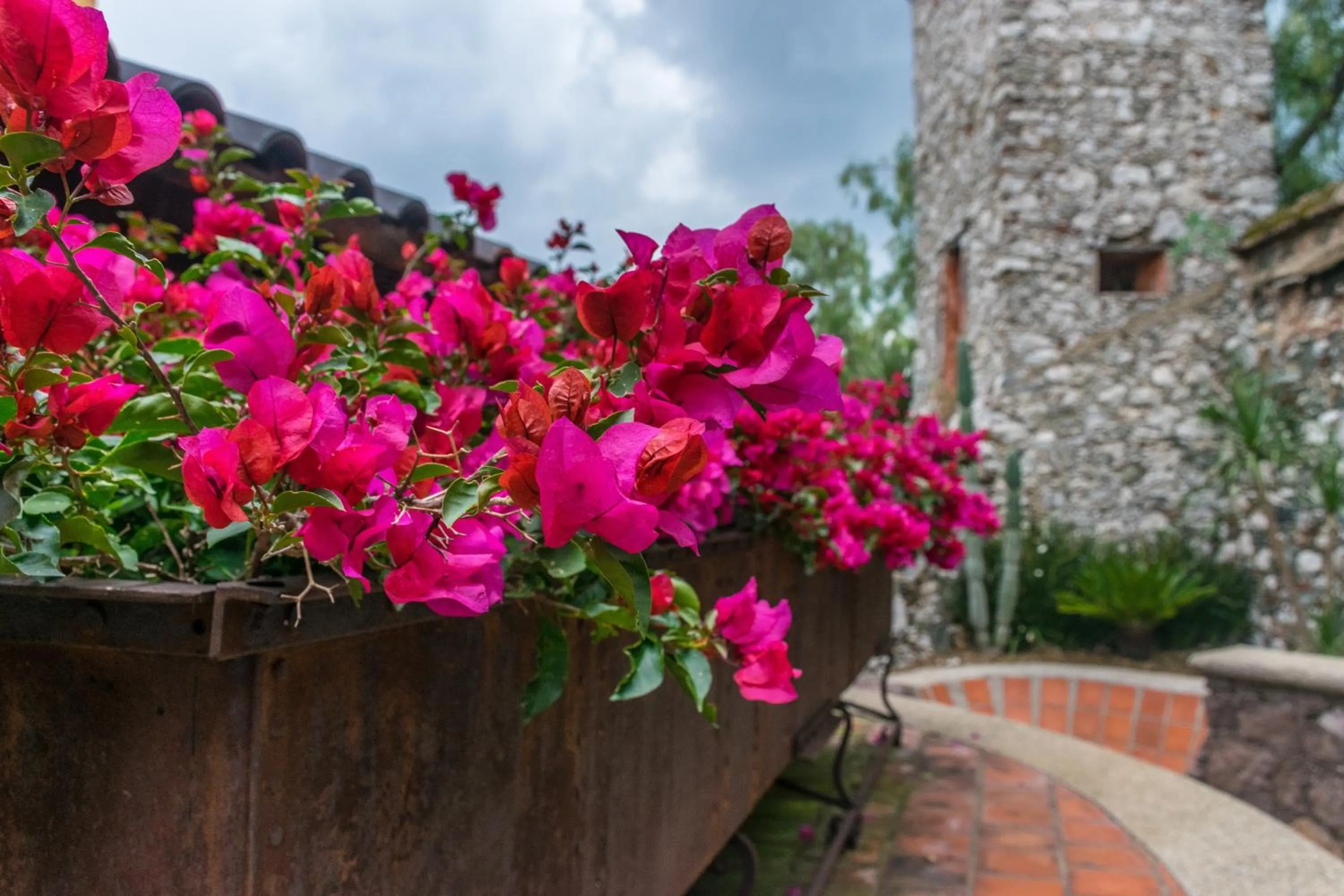 Hotel Camino de Vinos