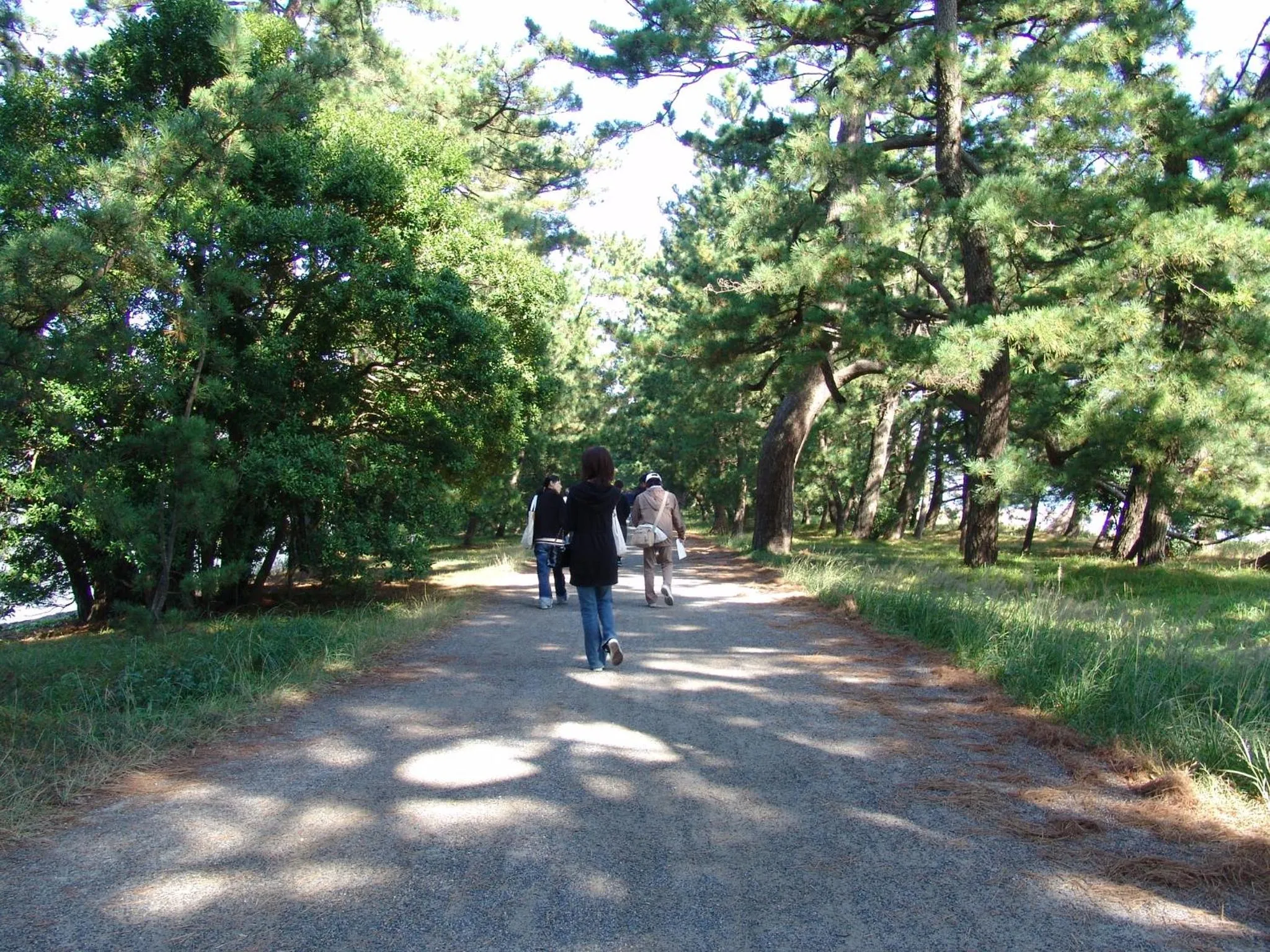Nearby landmark in Auberge Amanohashidate
