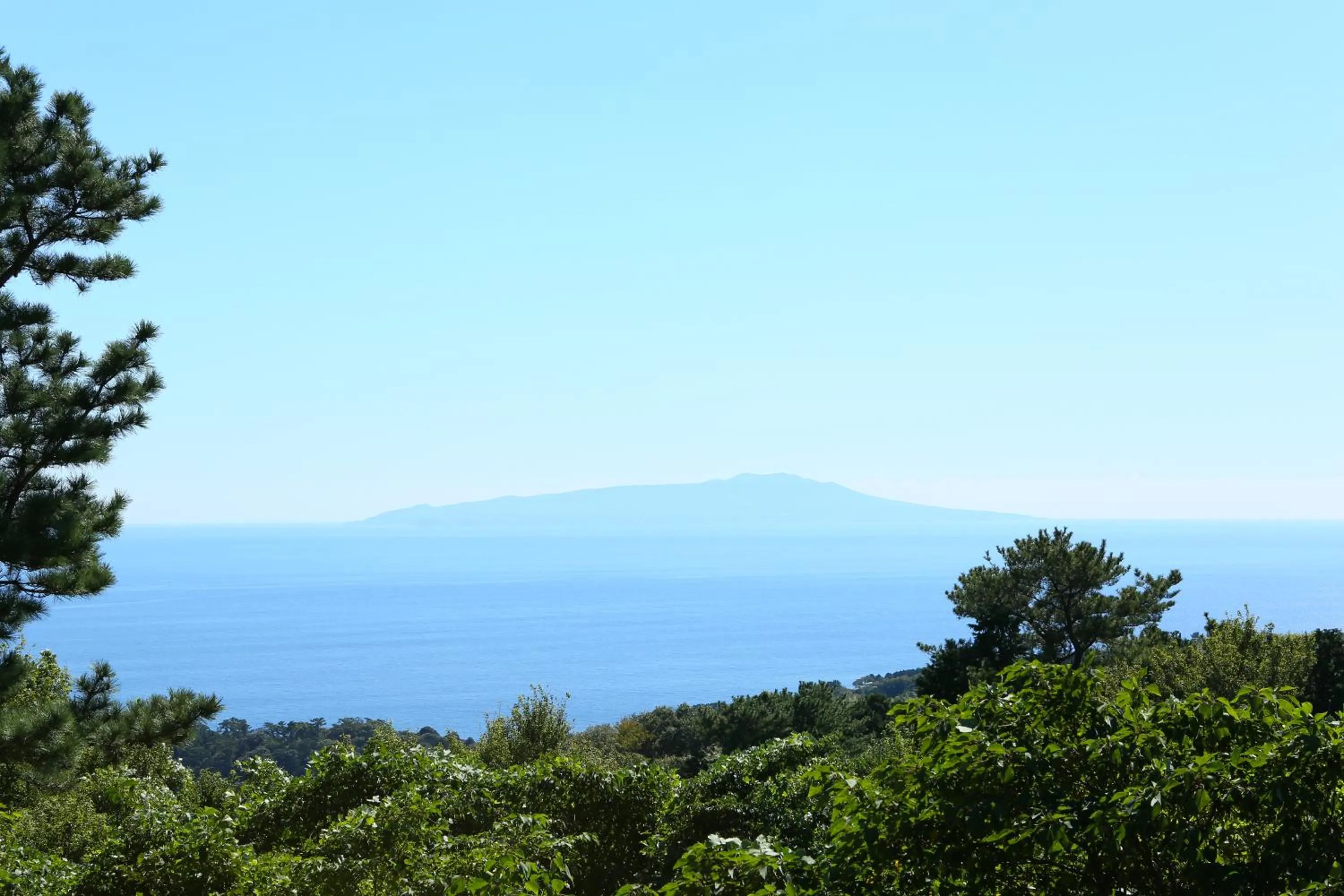 Golfcourse in Southern Cross Resort