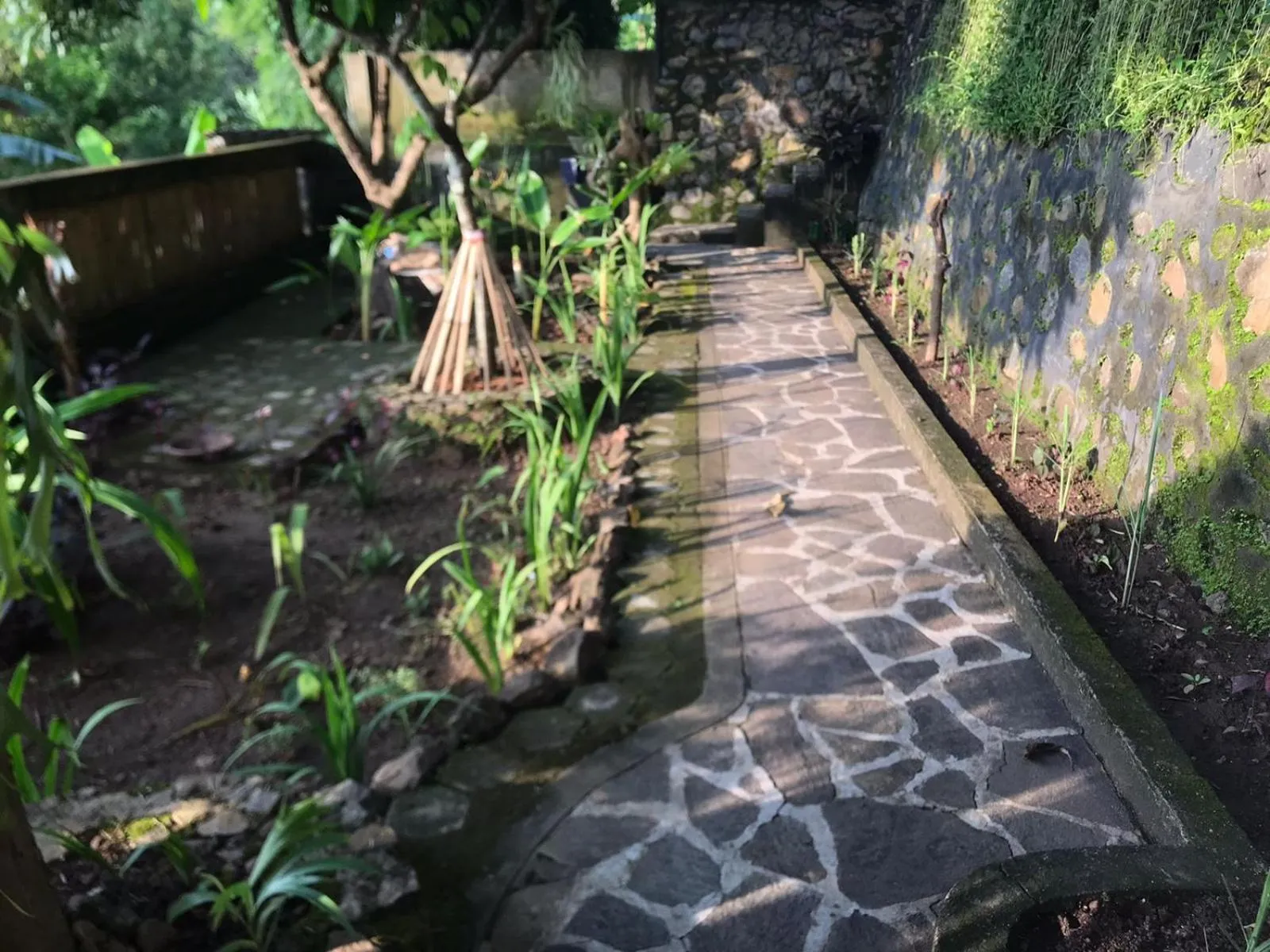 Garden in Sasak Lebung Home