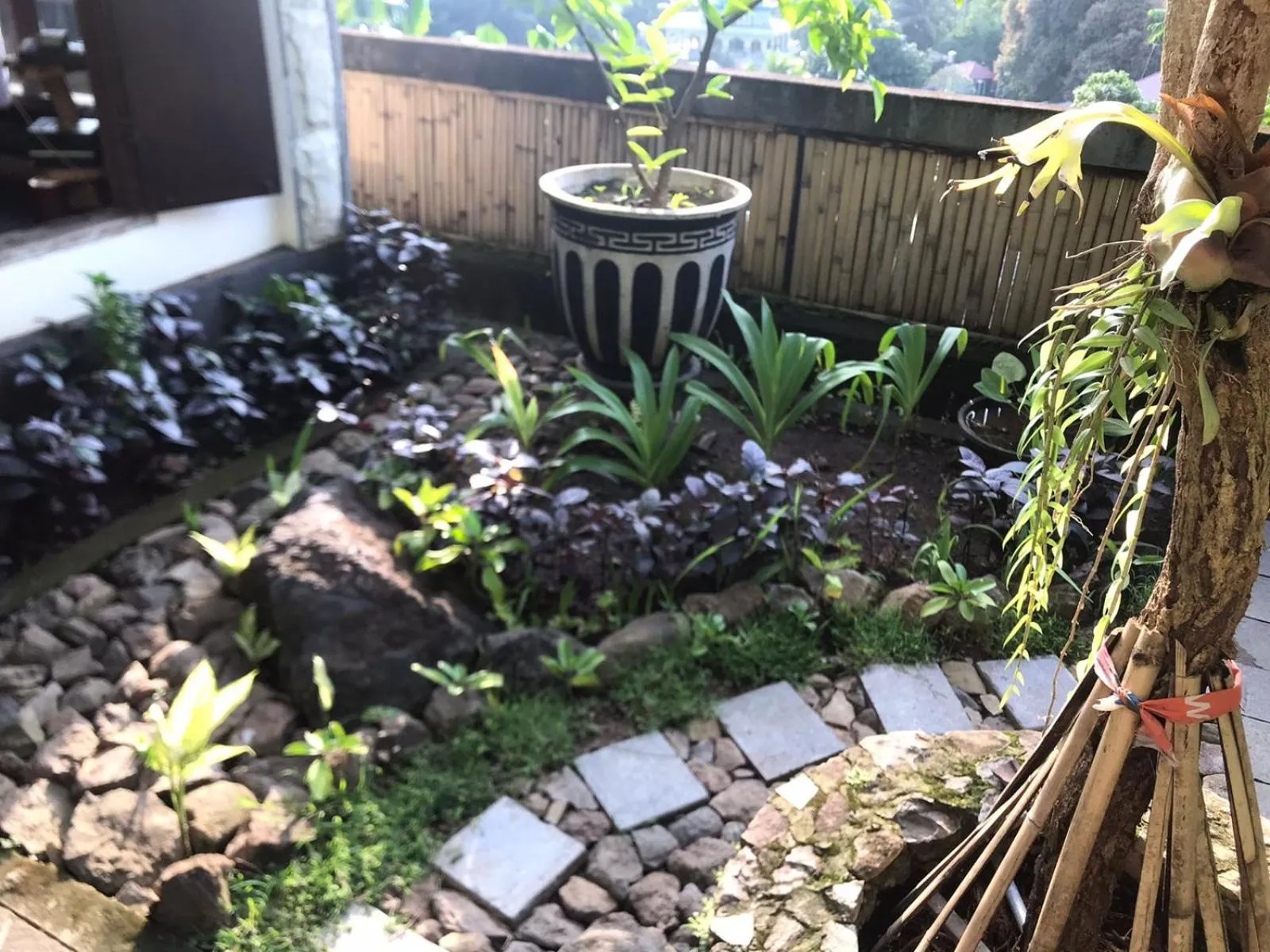 Garden in Sasak Lebung Home
