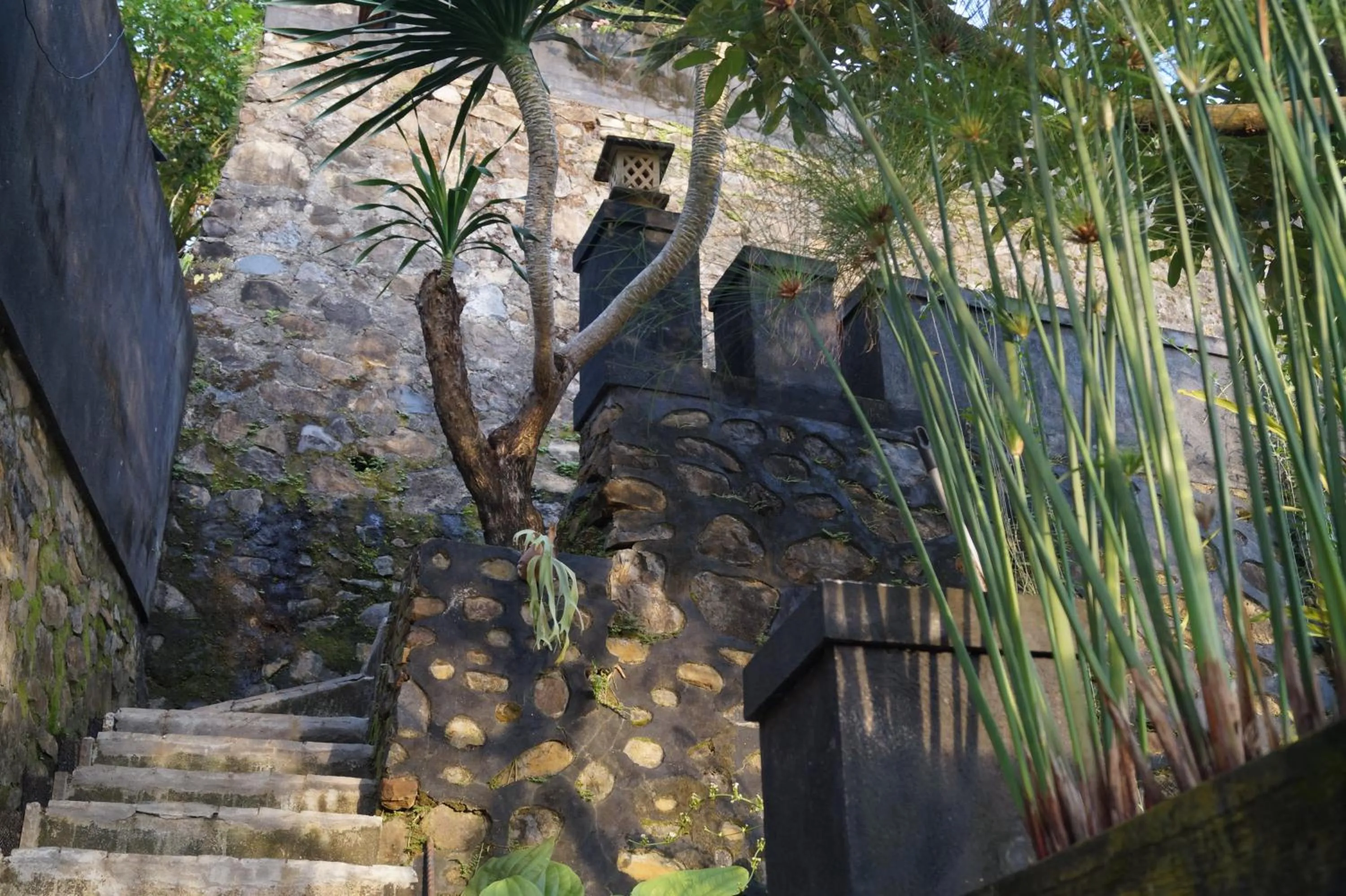 Garden in Sasak Lebung Home