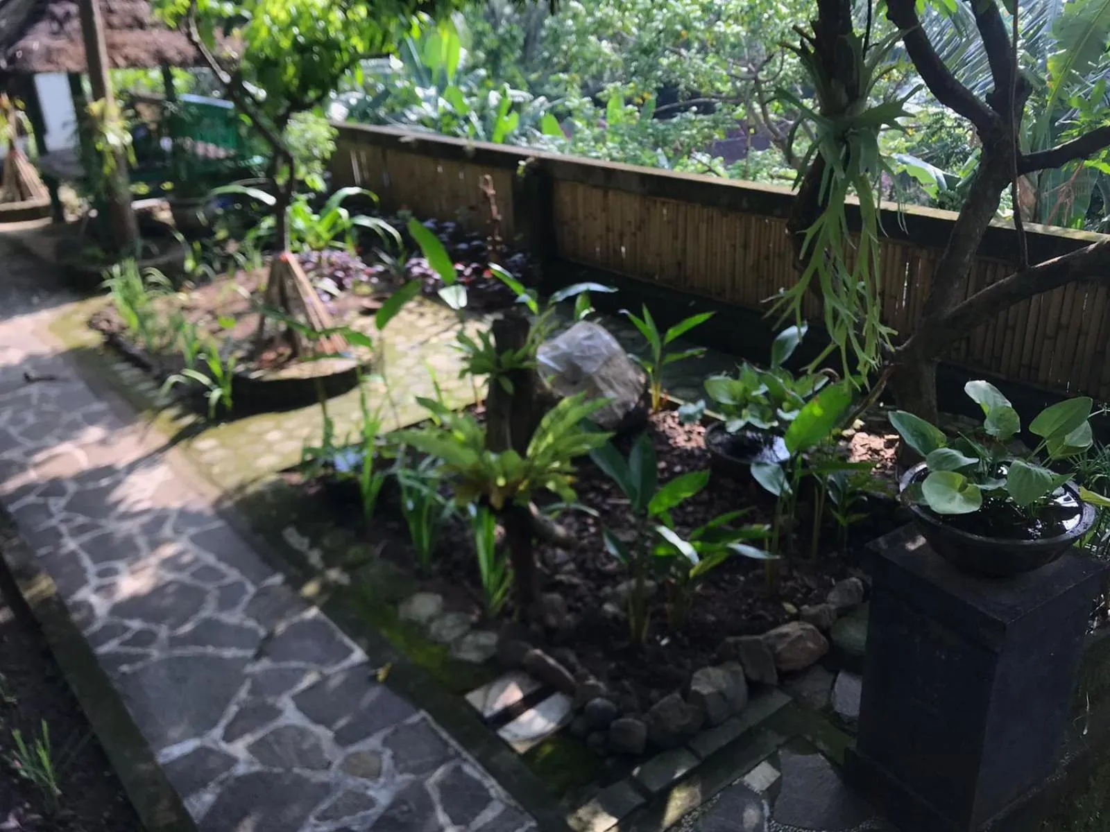 Garden in Sasak Lebung Home