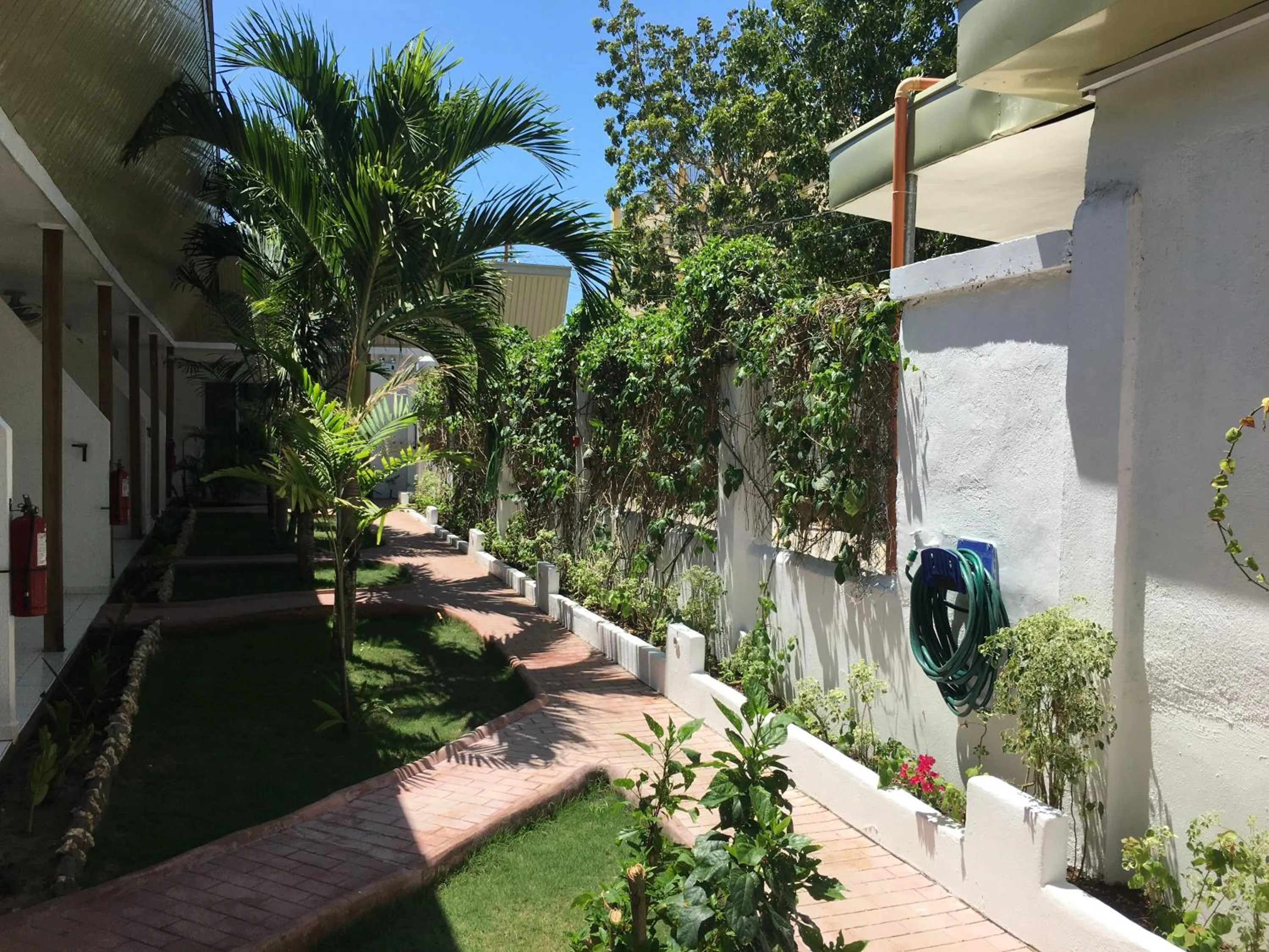 Garden in Alona Gecko Inn