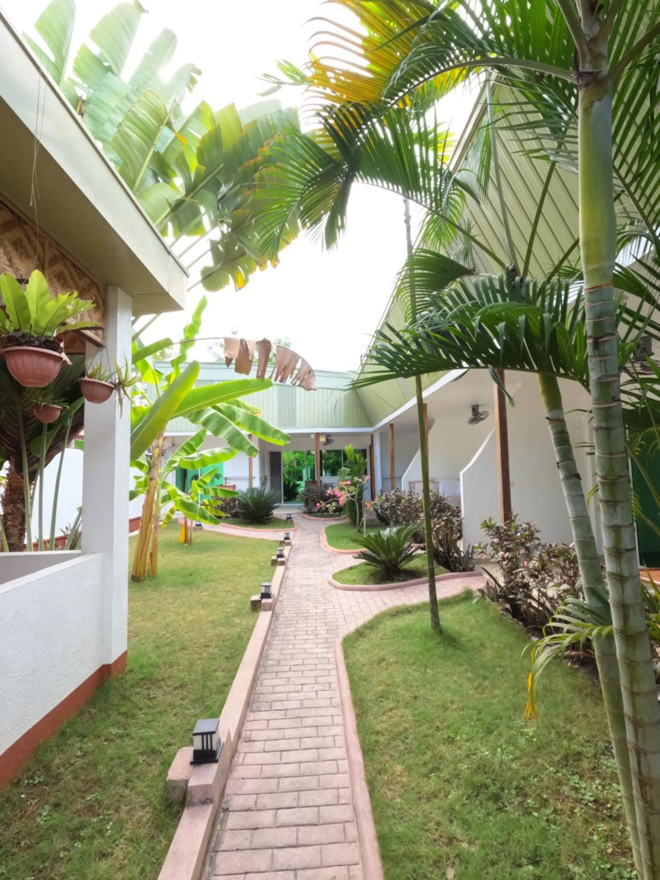 Garden in Alona Gecko Inn