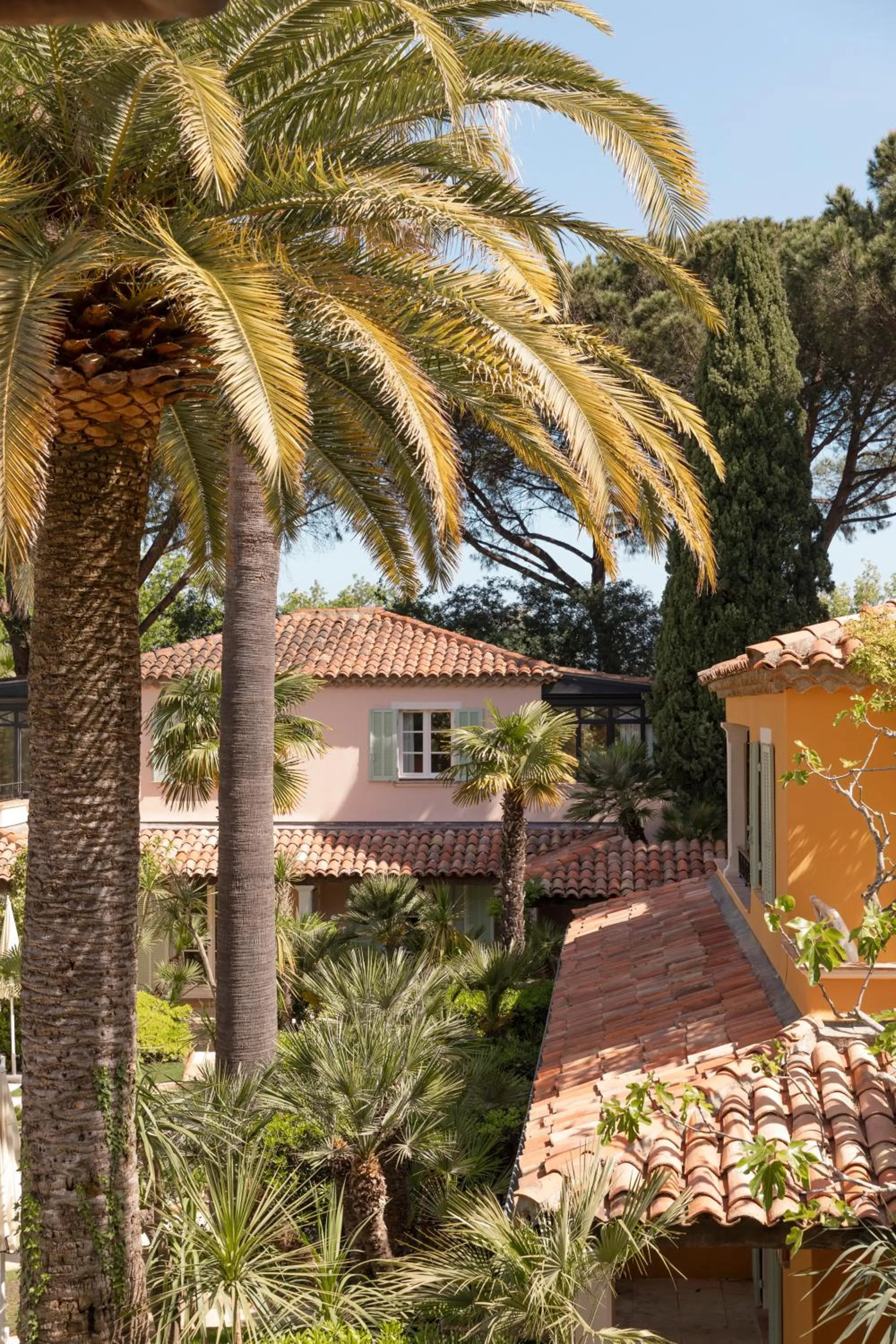 Garden view in La Bastide de Saint Tropez