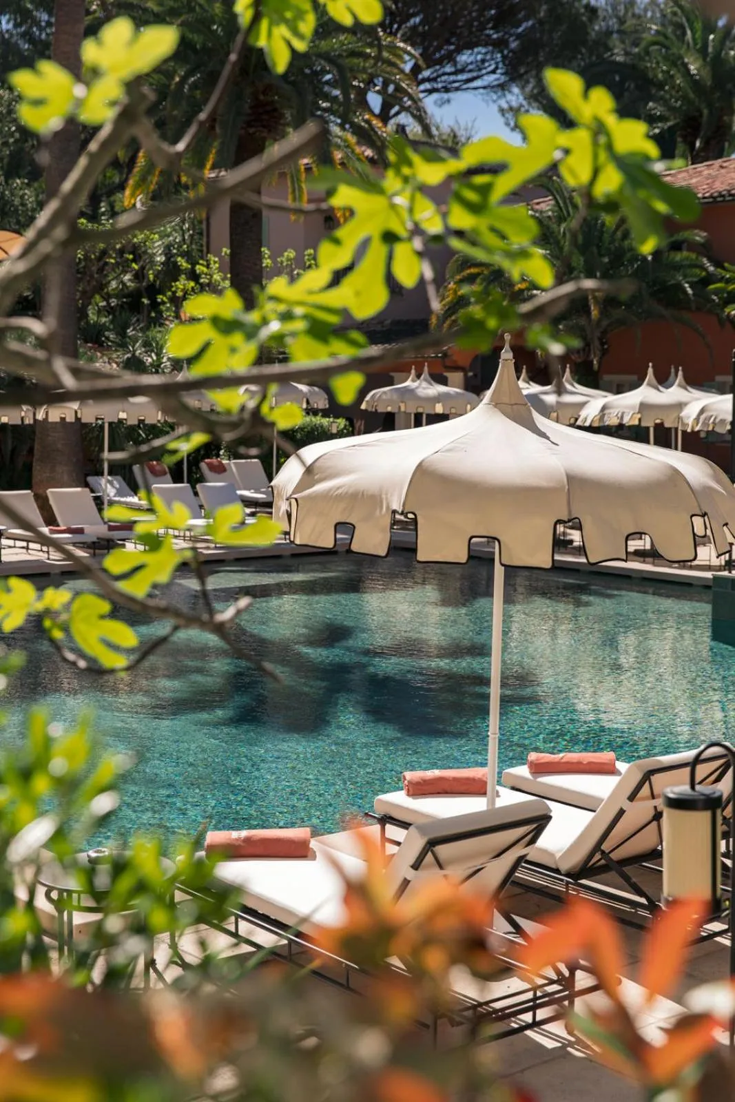 Swimming pool in La Bastide de Saint Tropez