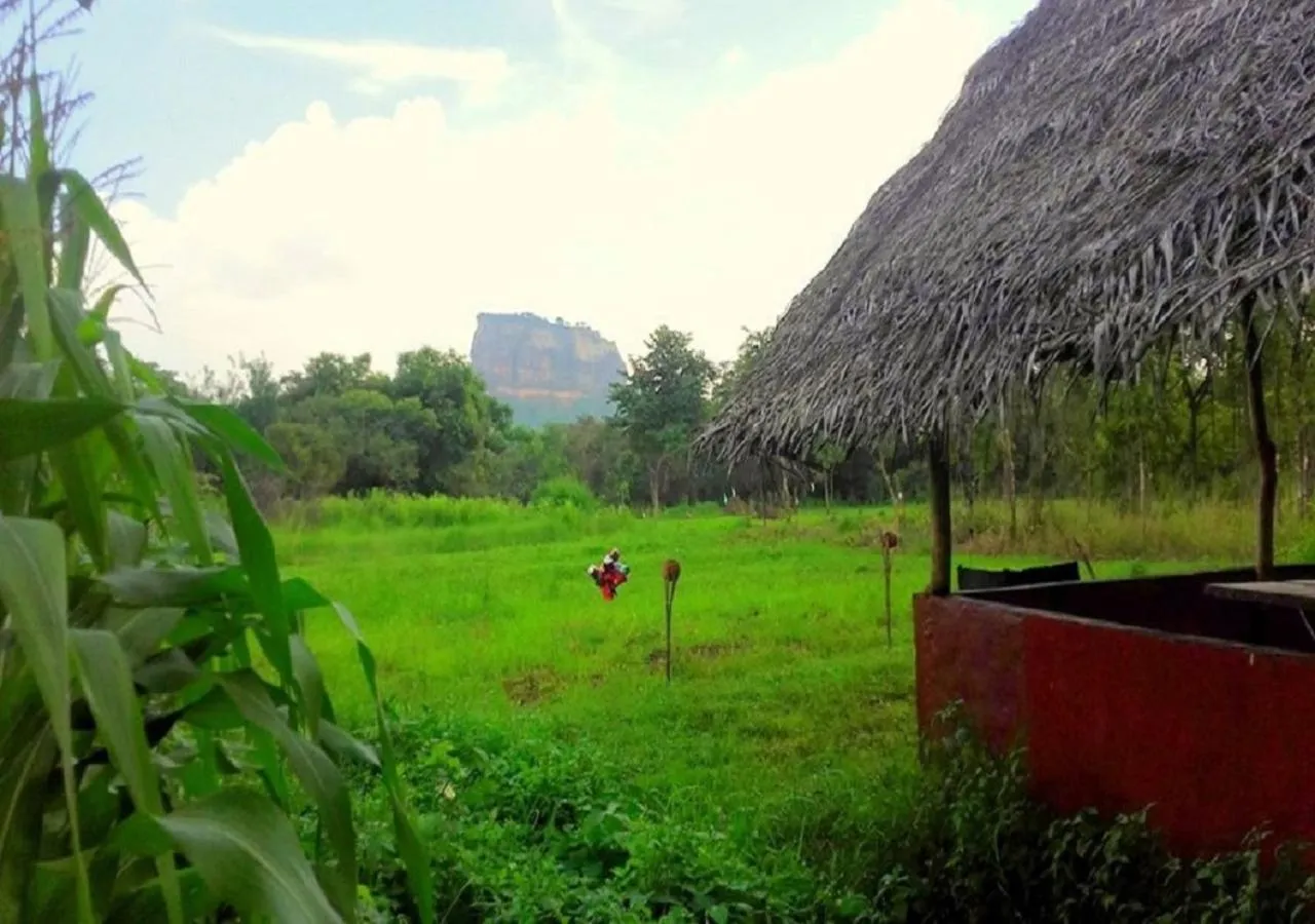 Natural landscape in Sigiriya Rock Gate Resort
