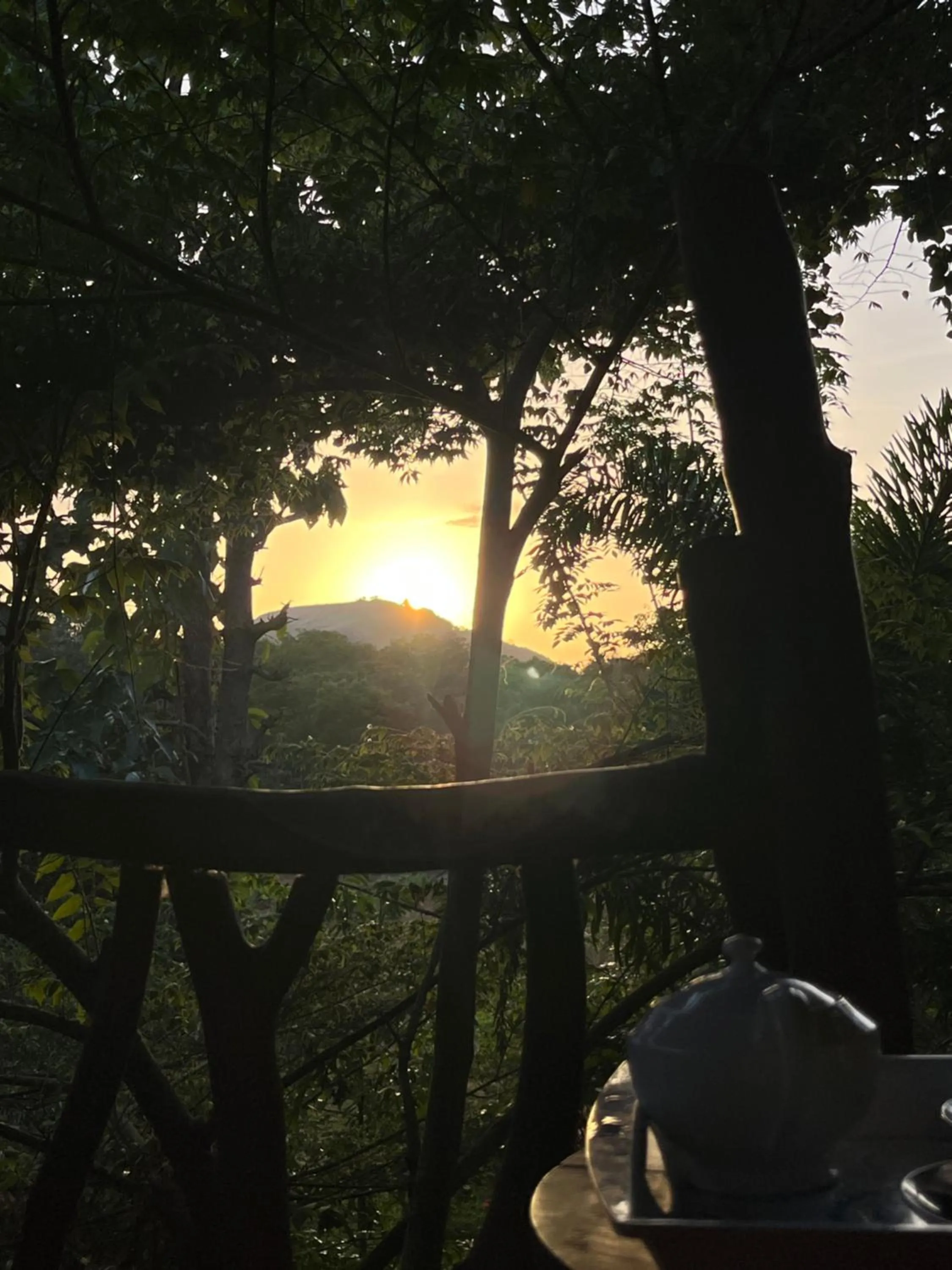 Sunrise in Sigiriya Rock Gate Resort