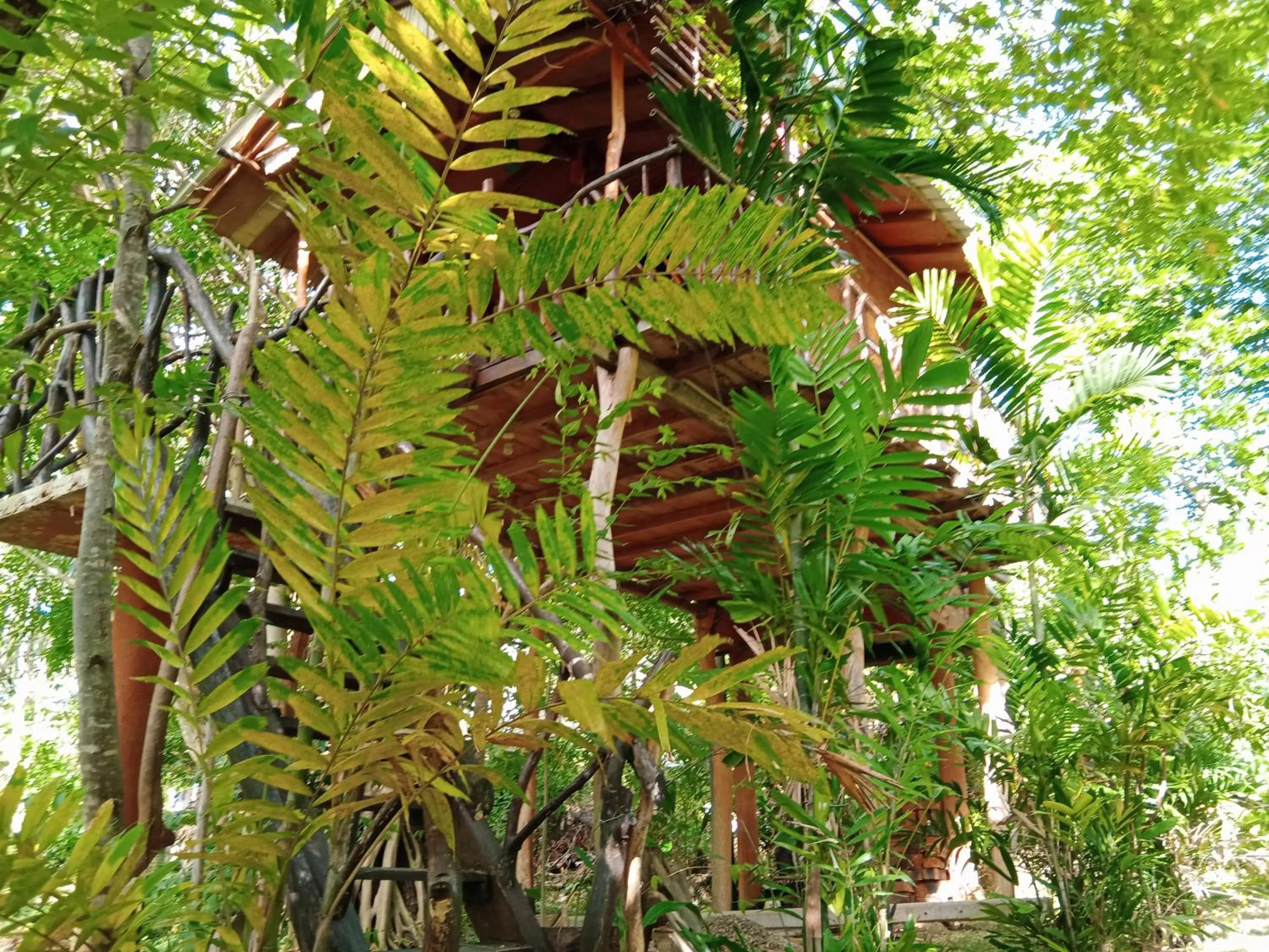 Property building in Sigiriya Rock Gate Resort
