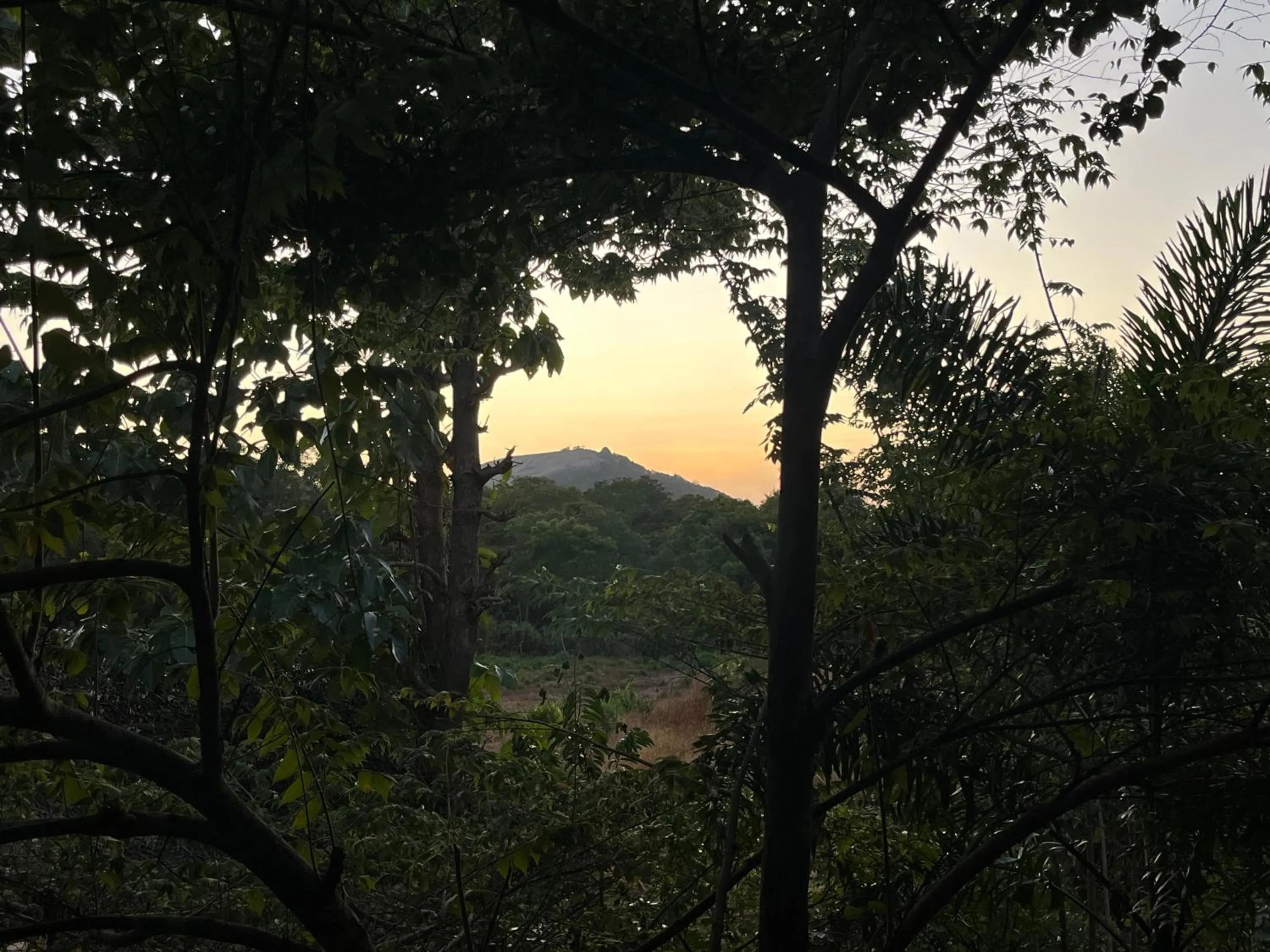 Natural landscape in Sigiriya Rock Gate Resort