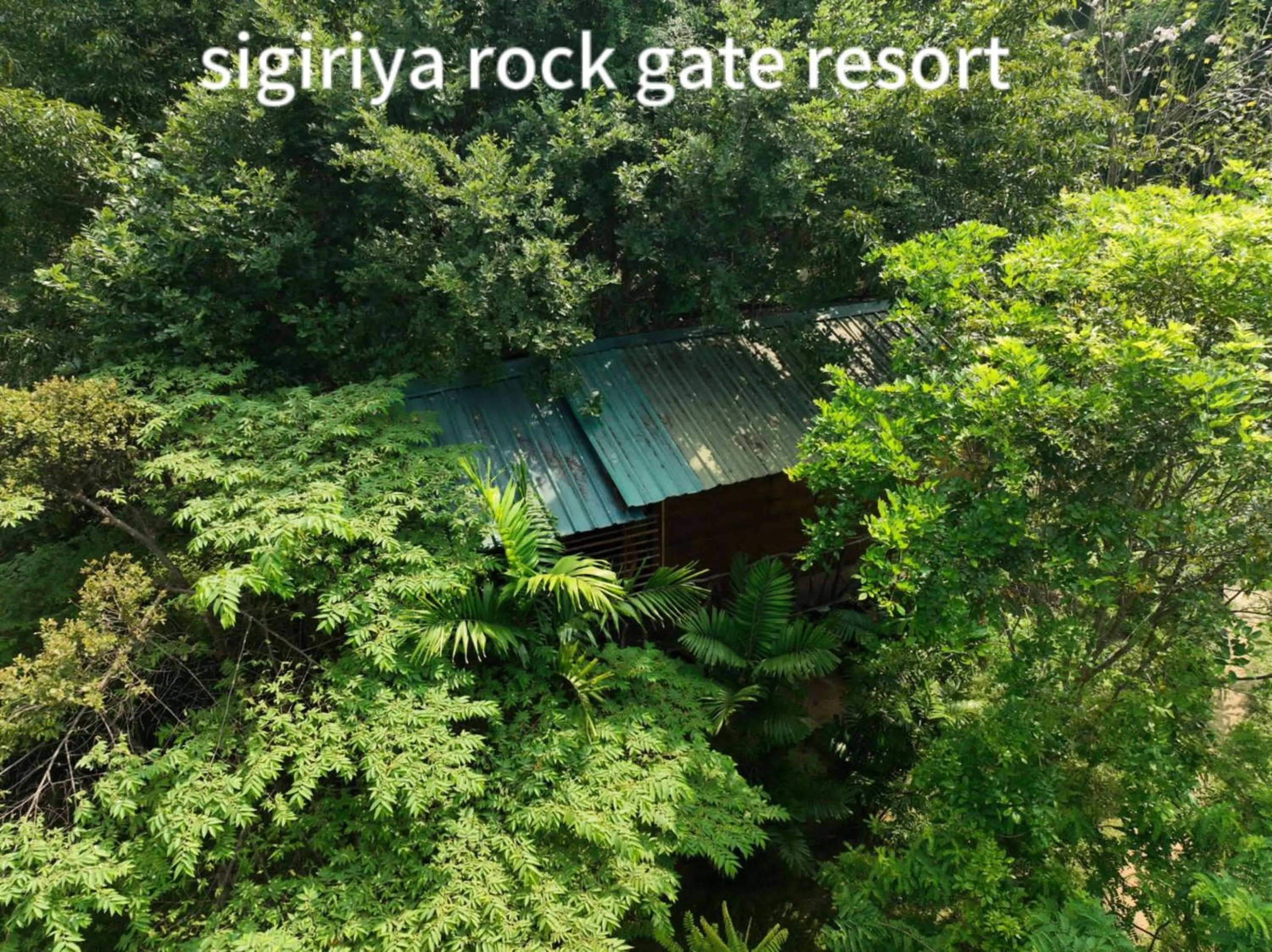 Property building in Sigiriya Rock Gate Resort