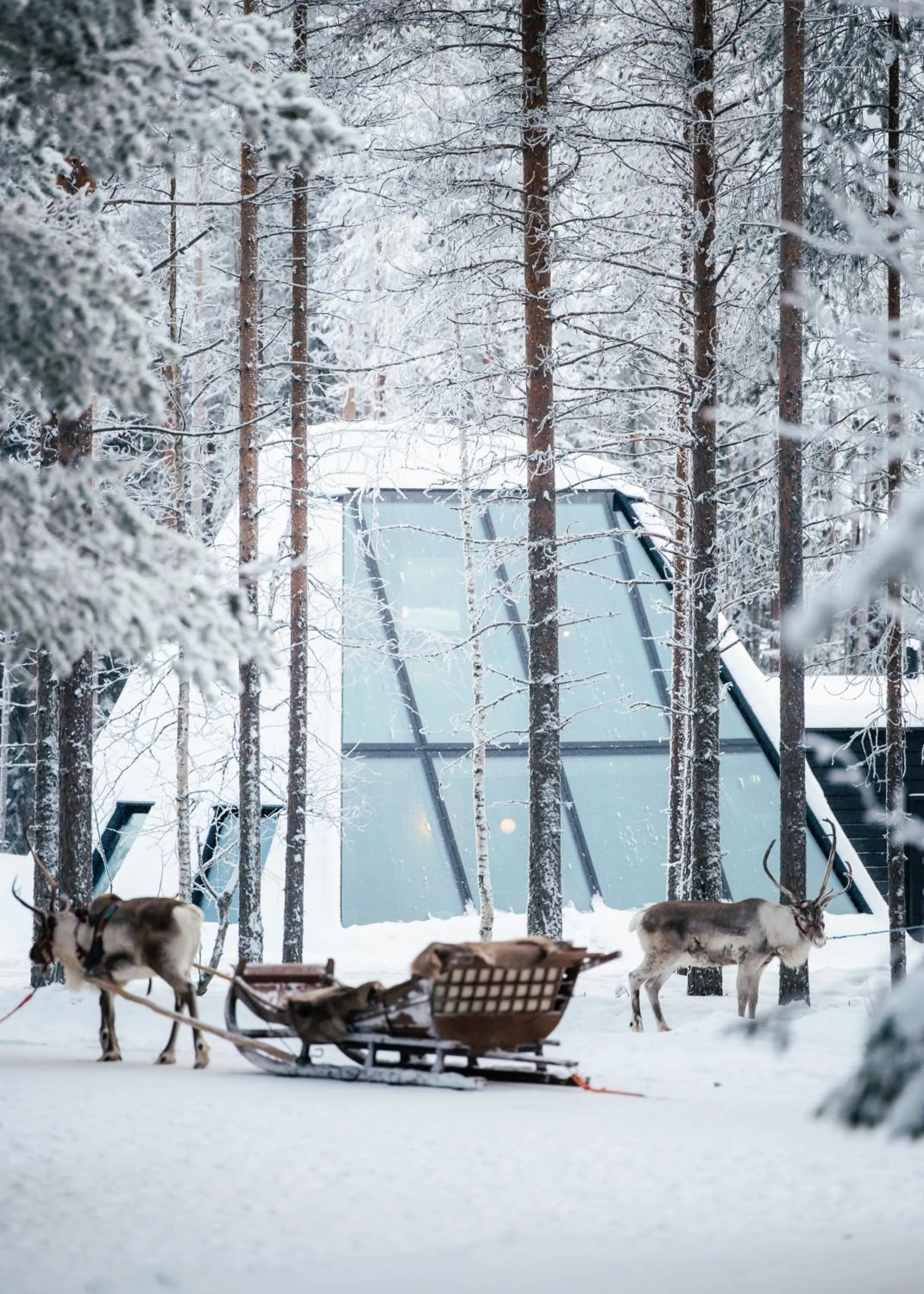Winter in Glass Resort