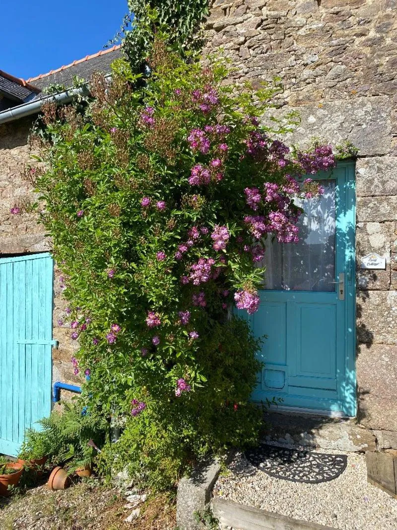Day in Gites de la Motte Parent