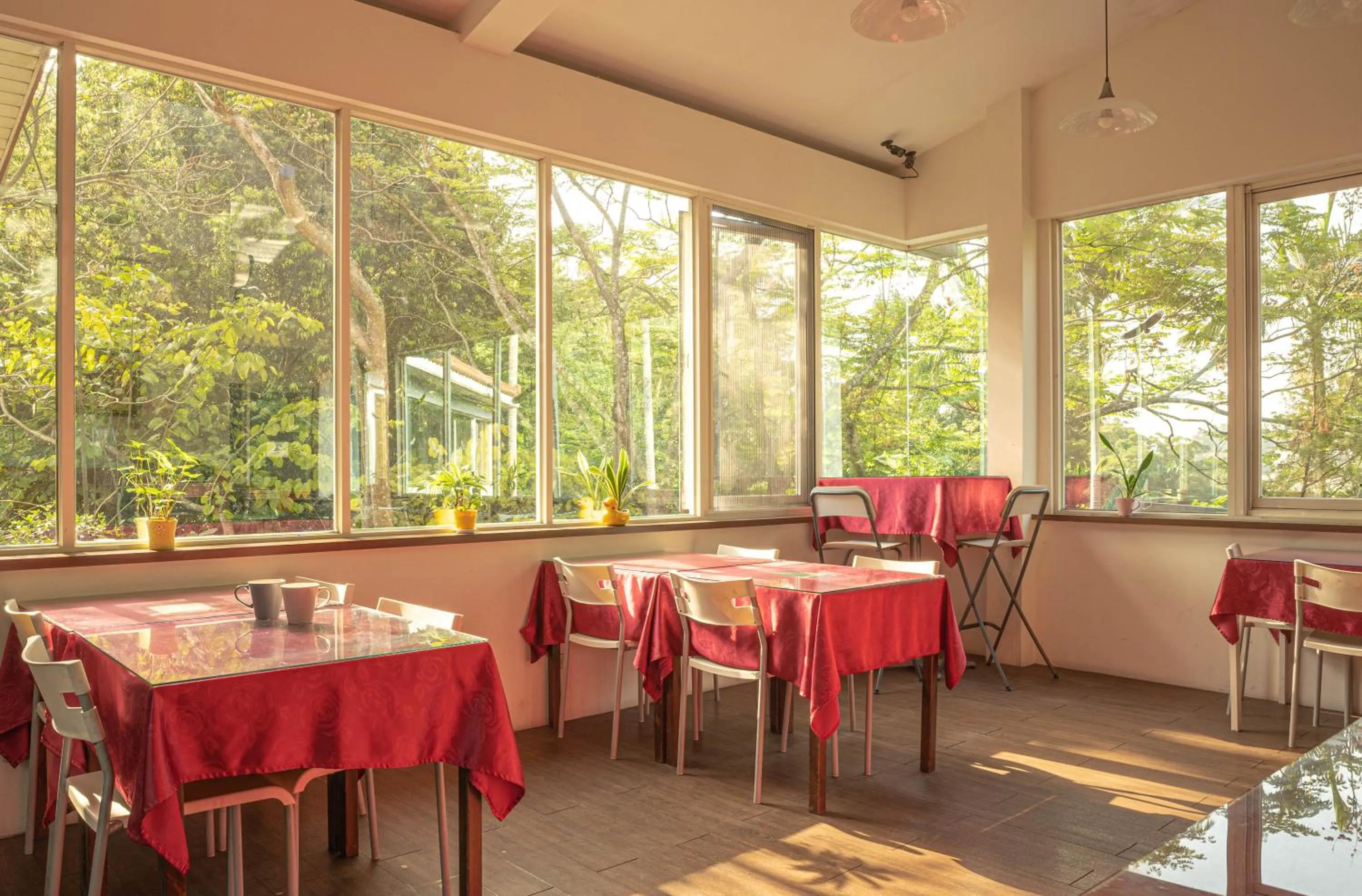 Restaurant/places to eat in Regale Motel