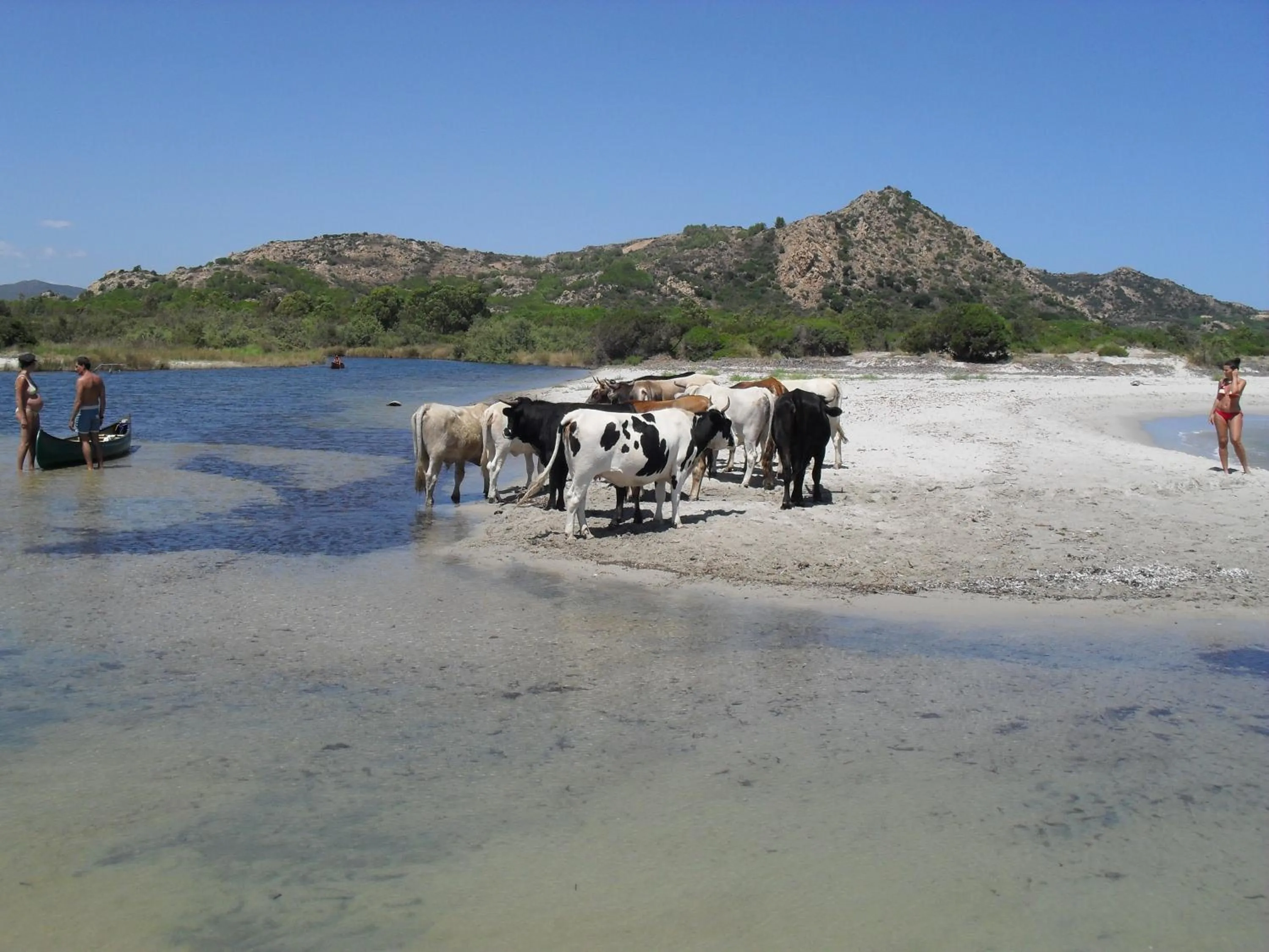 Animals in Hotel S'Ortale Possibilità di Parcheggio interno e Ristorante all'aperto