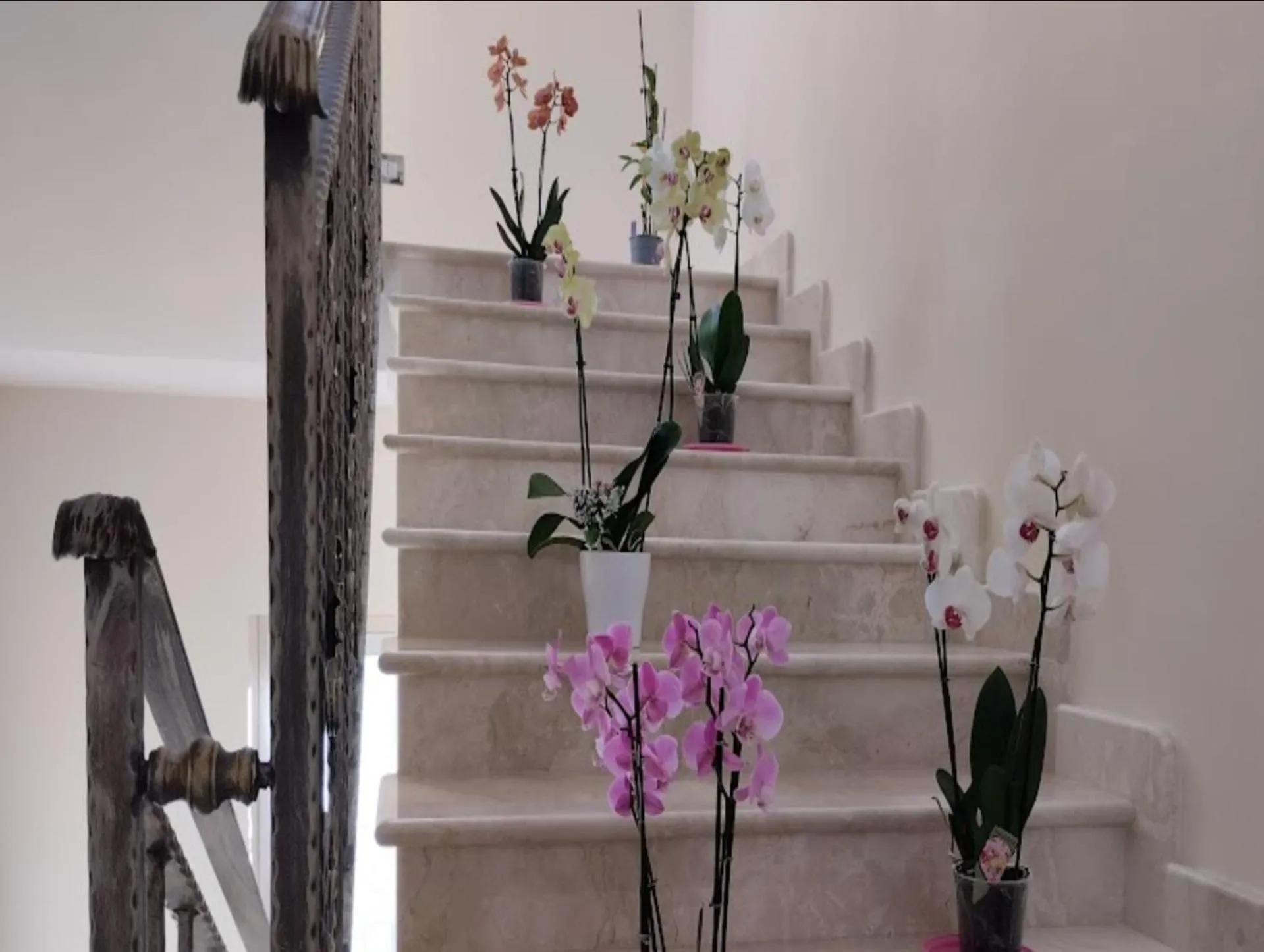 Other in Daphnae House