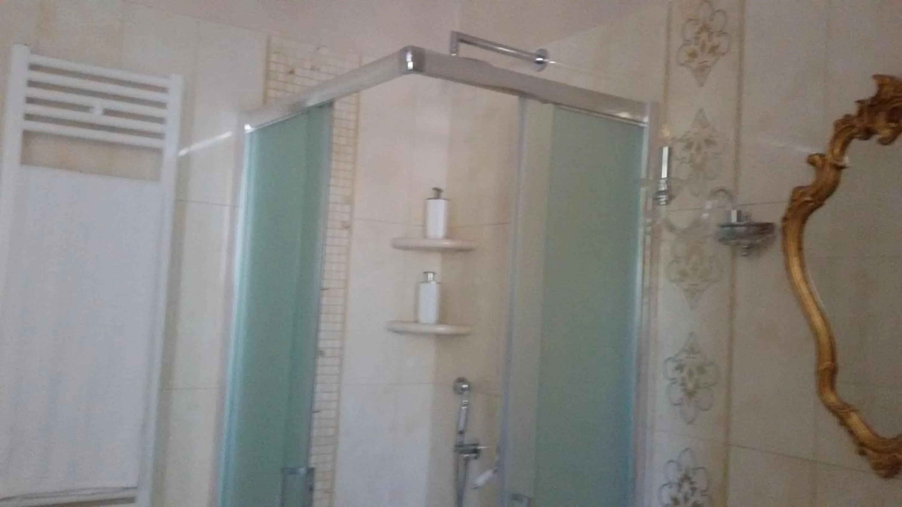 Shower in Daphnae House