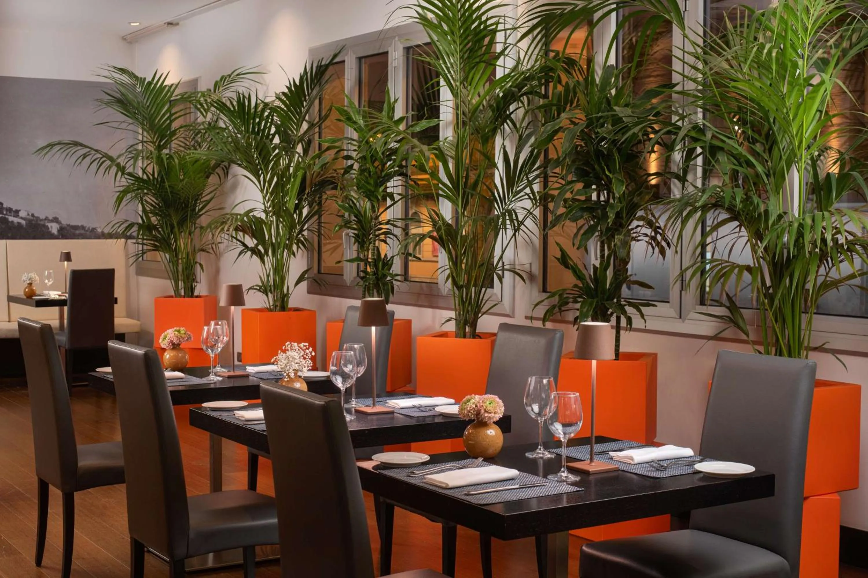 Restaurant/places to eat in NH Trieste