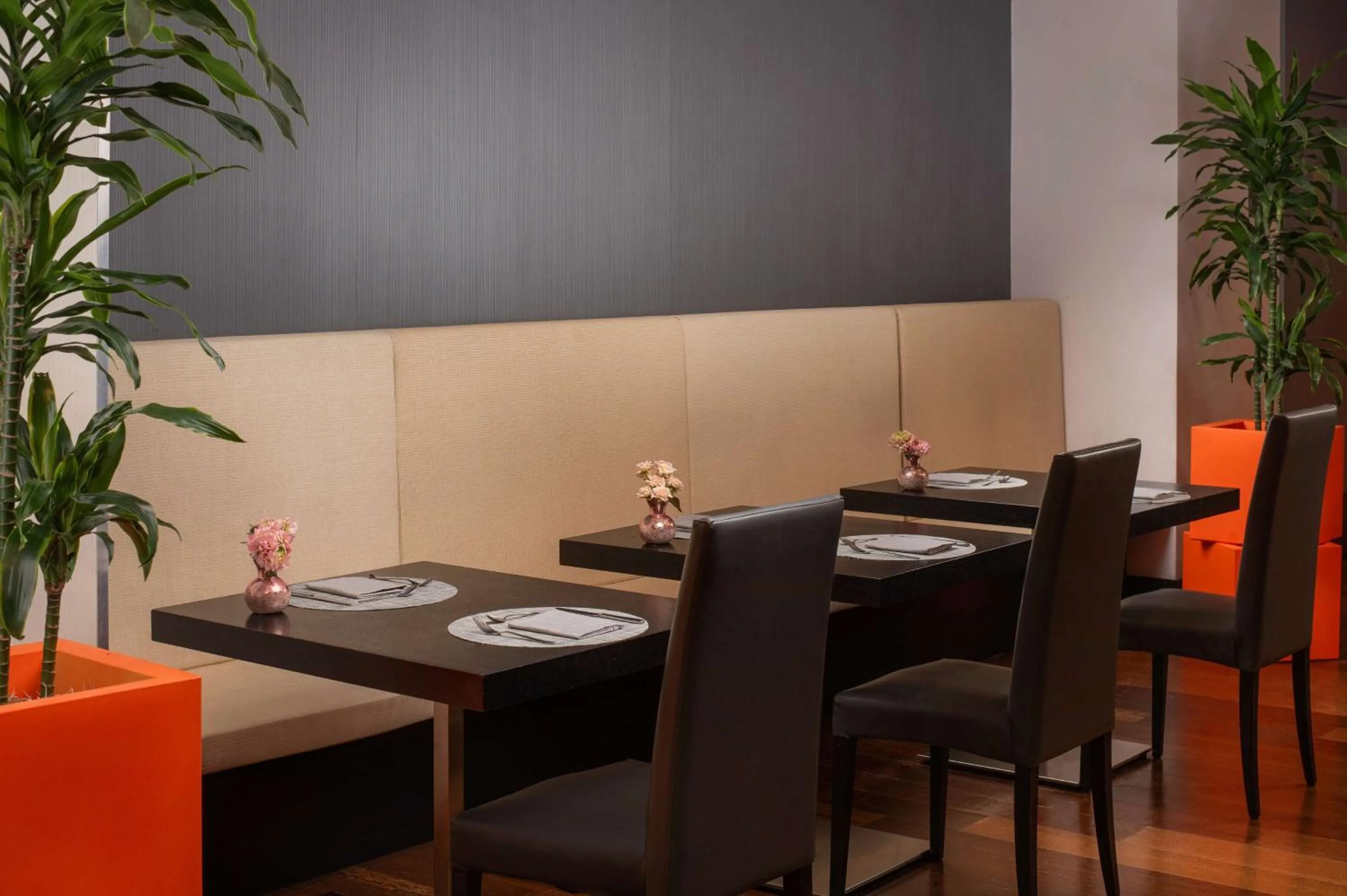 Restaurant/places to eat in NH Trieste