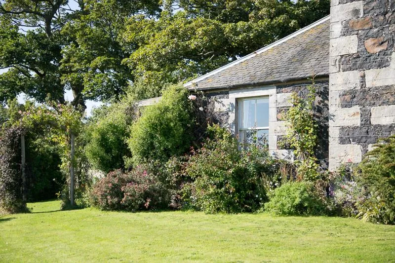 Garden in Buckthorns House