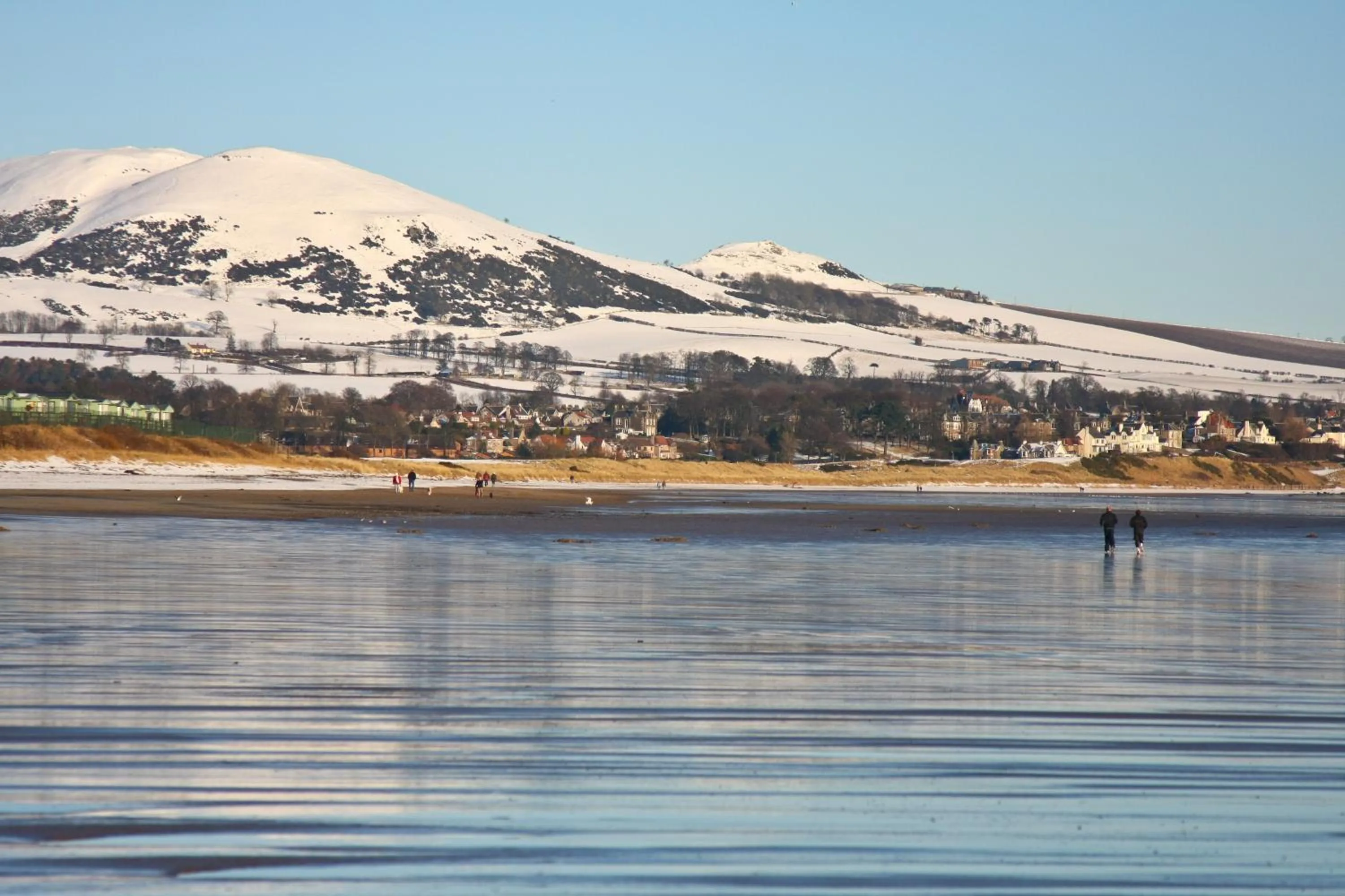 Neighbourhood in Buckthorns House