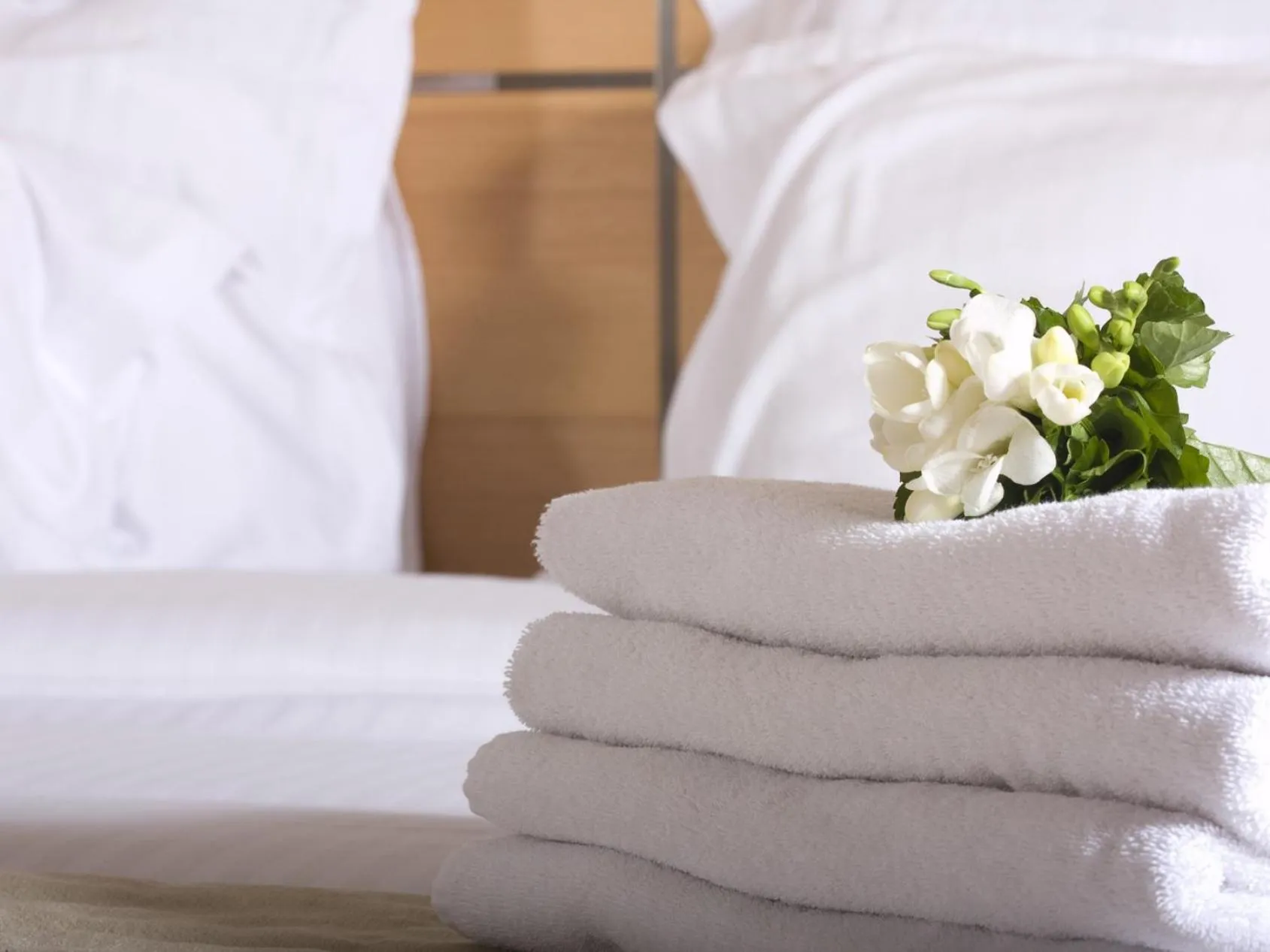 Other in The Cedar Suite