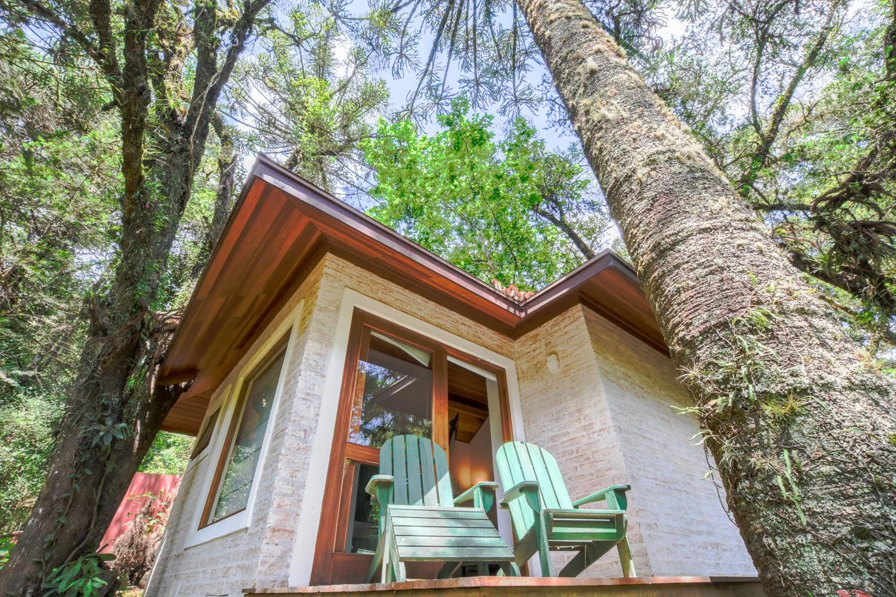 Patio in Resort Magnifico