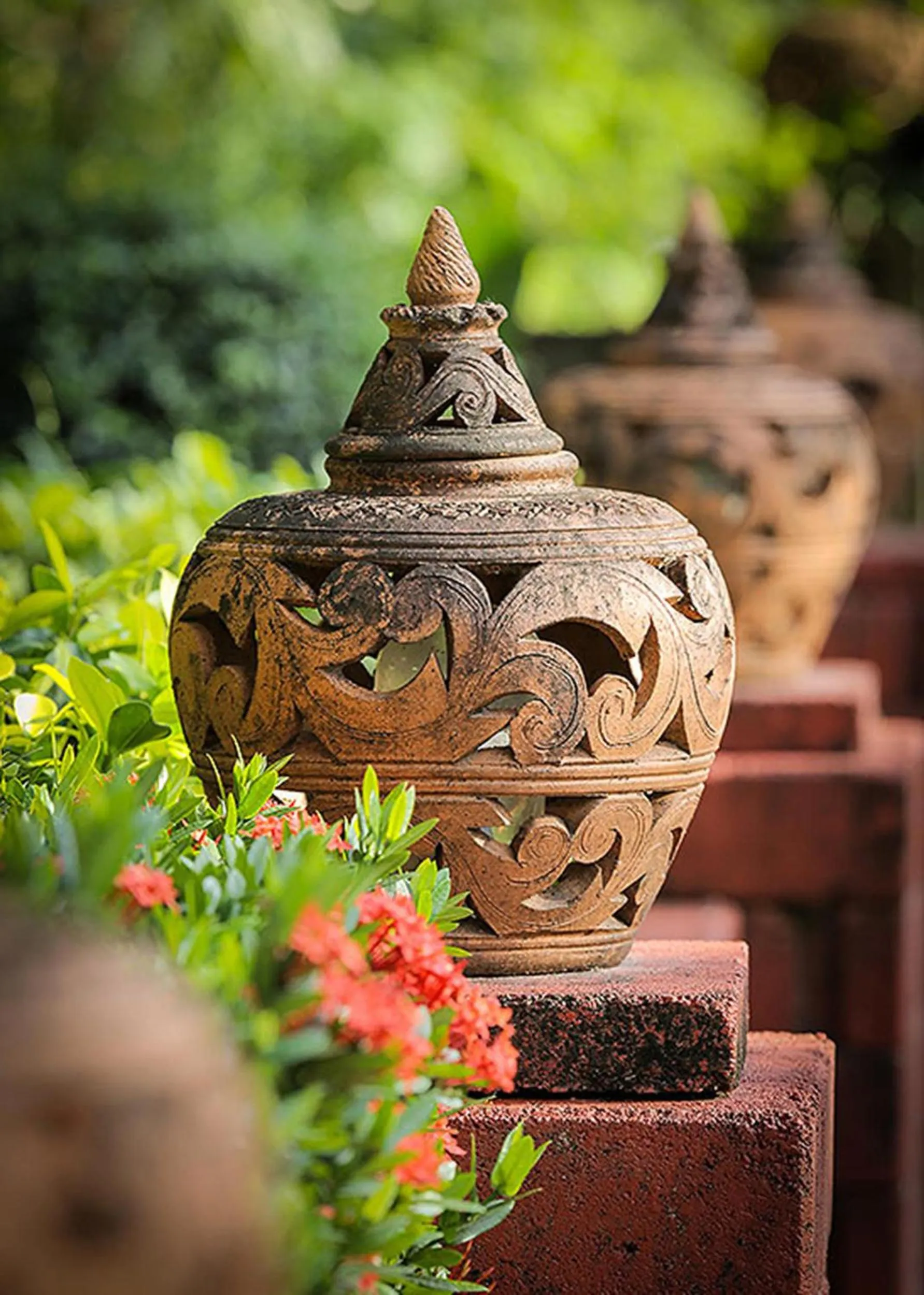 Garden in Villa Chaya
