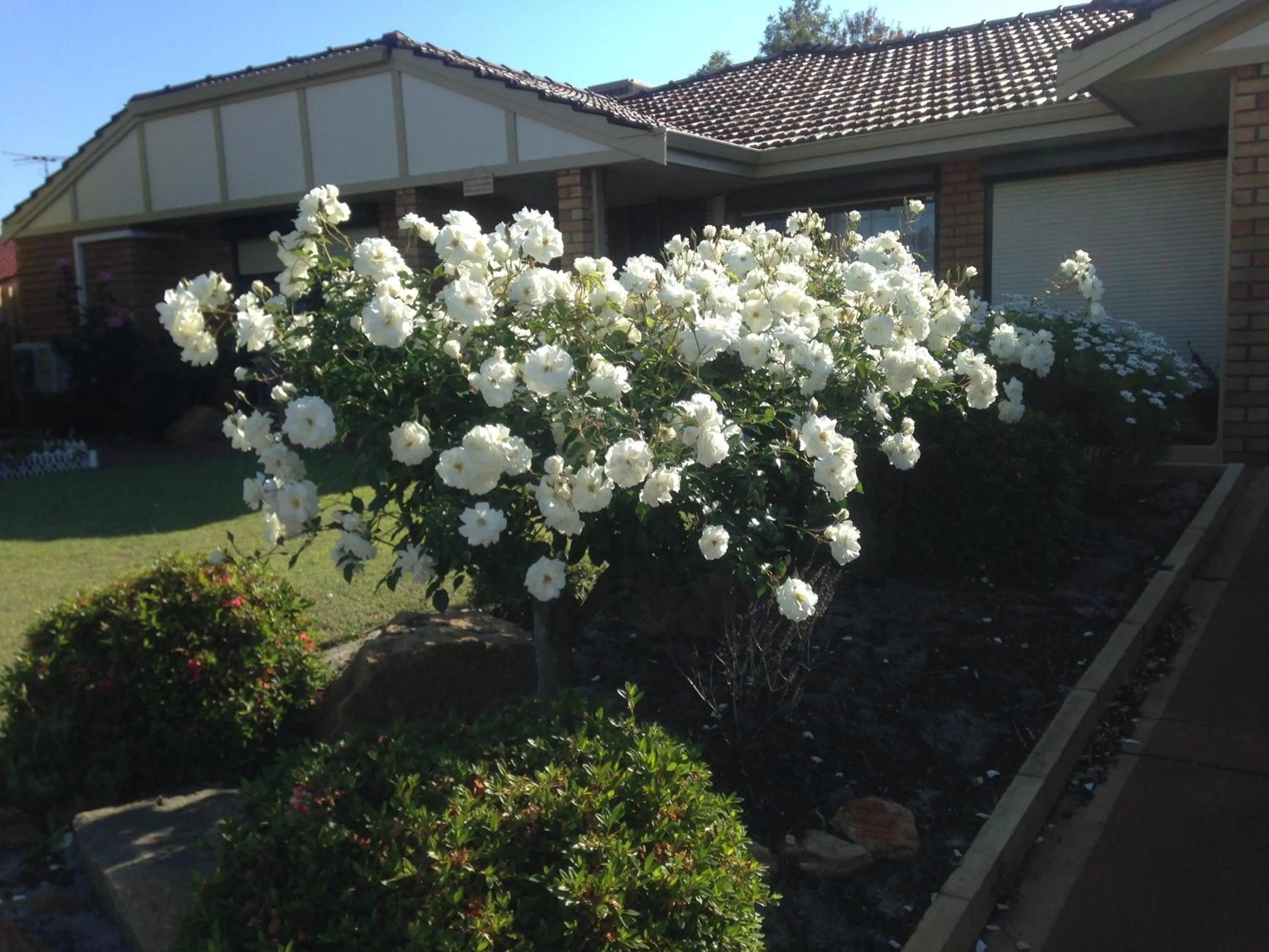 Garden in Murdoch Station Bed & Breakfast