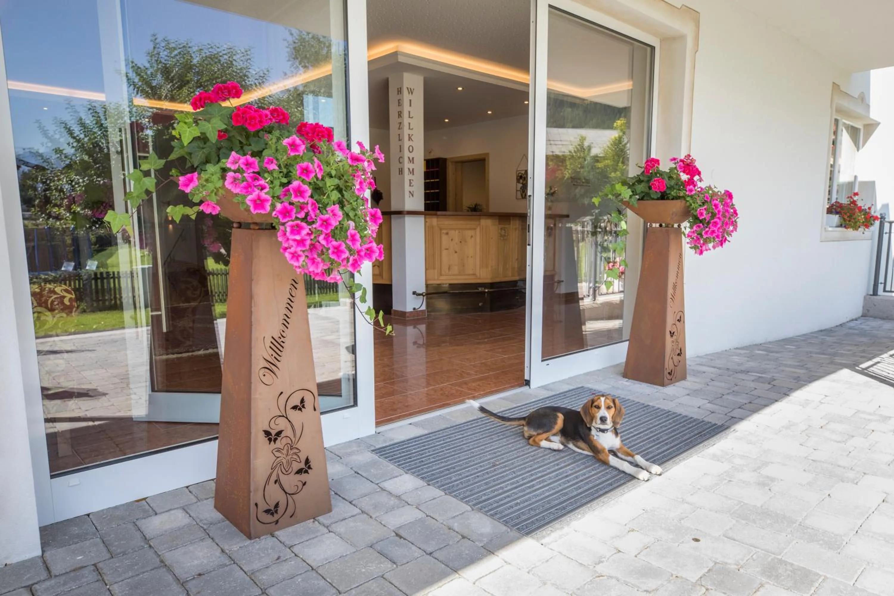 Pets in Aparthotel Paradies - Schrempfgut