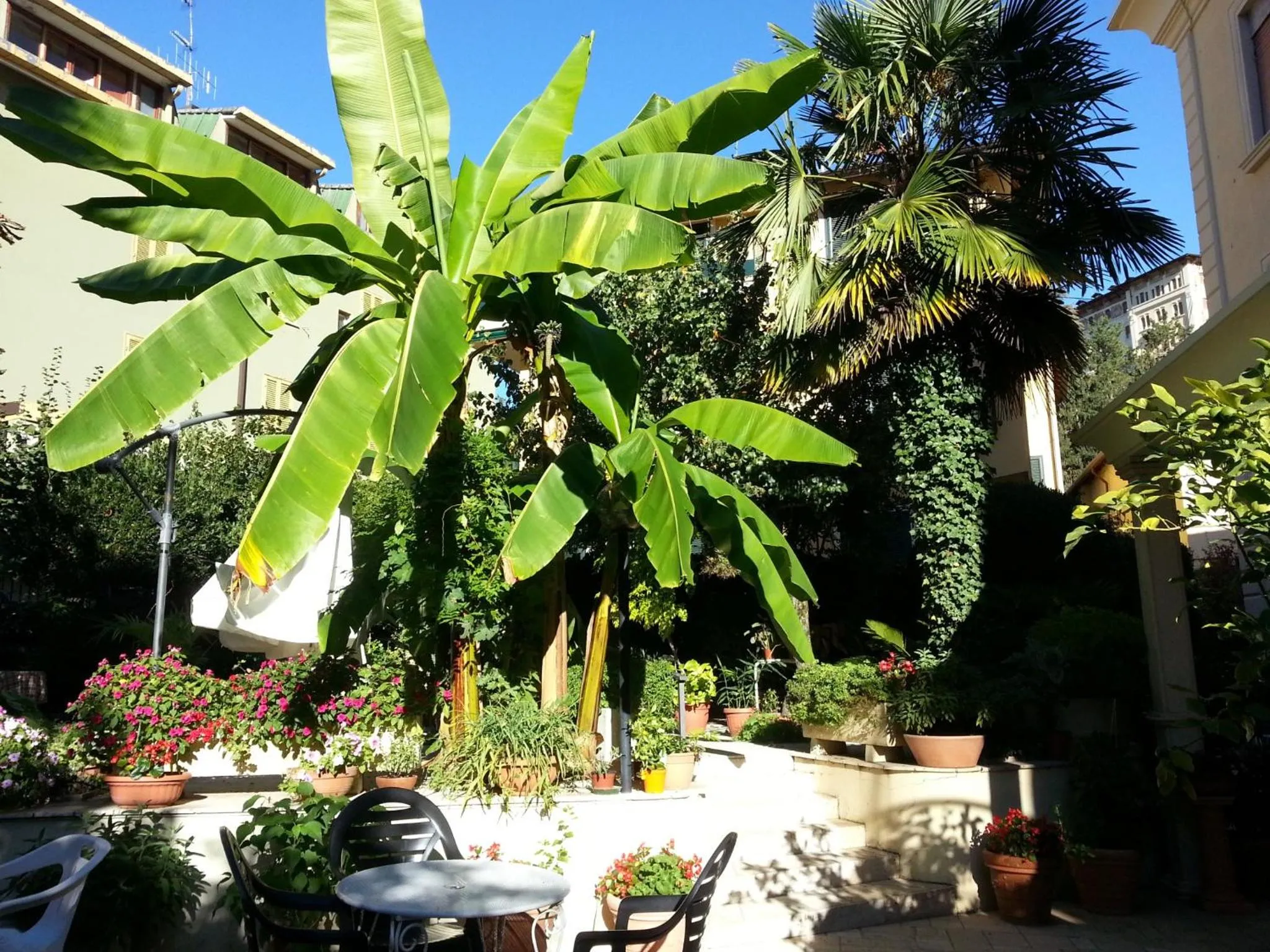 Garden in Hotel Belsito Wellness & Spa