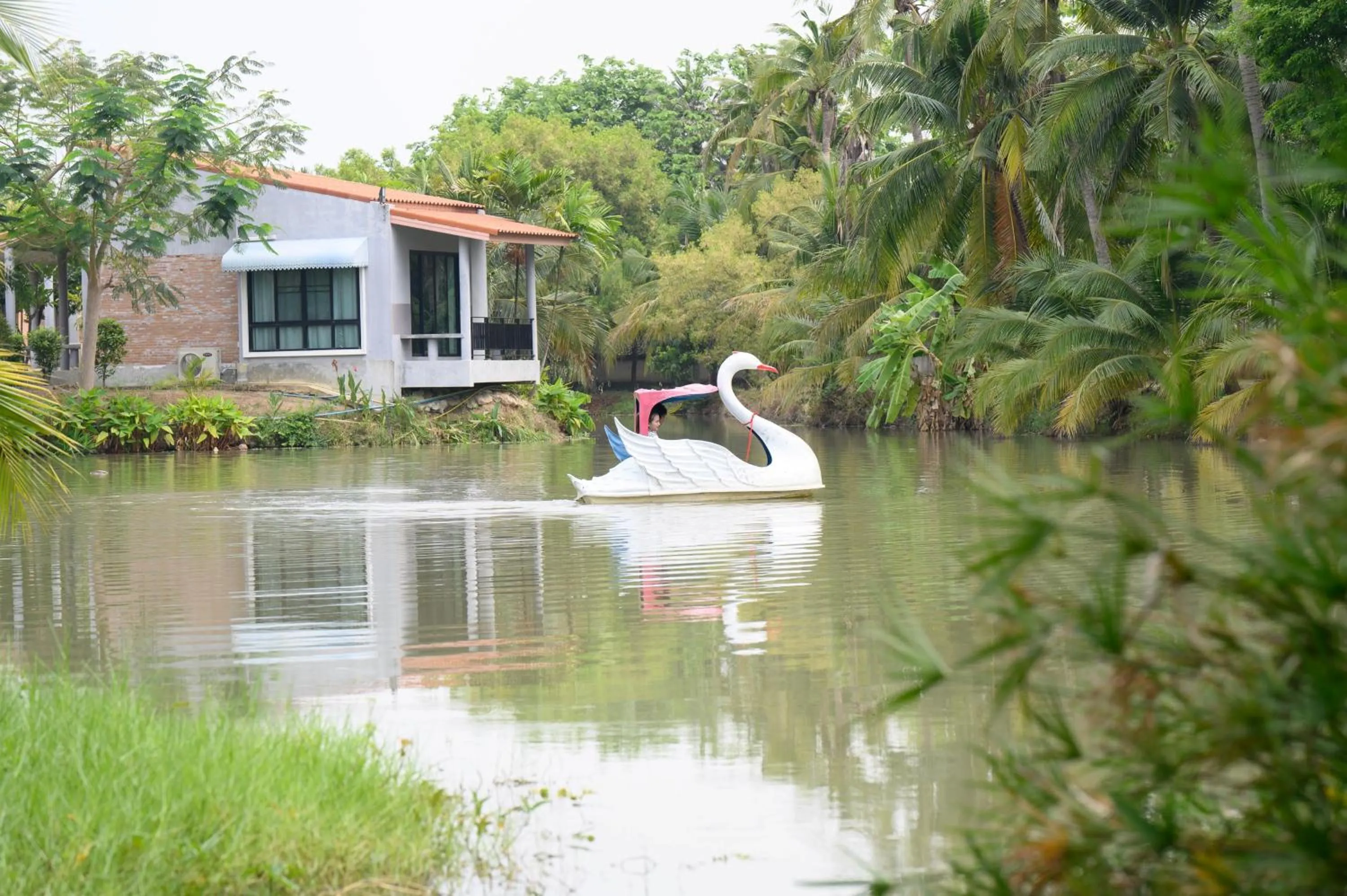 Activities in Busaya Resort & Cuisine