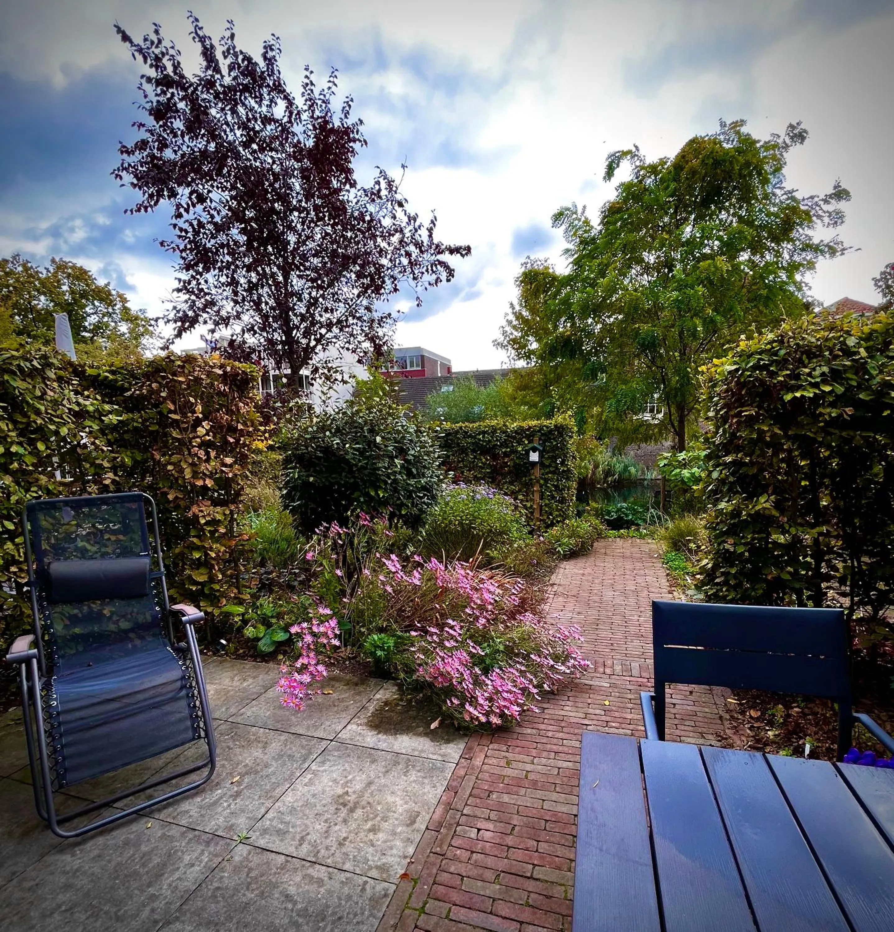 Garden in Arthouse Dordrecht