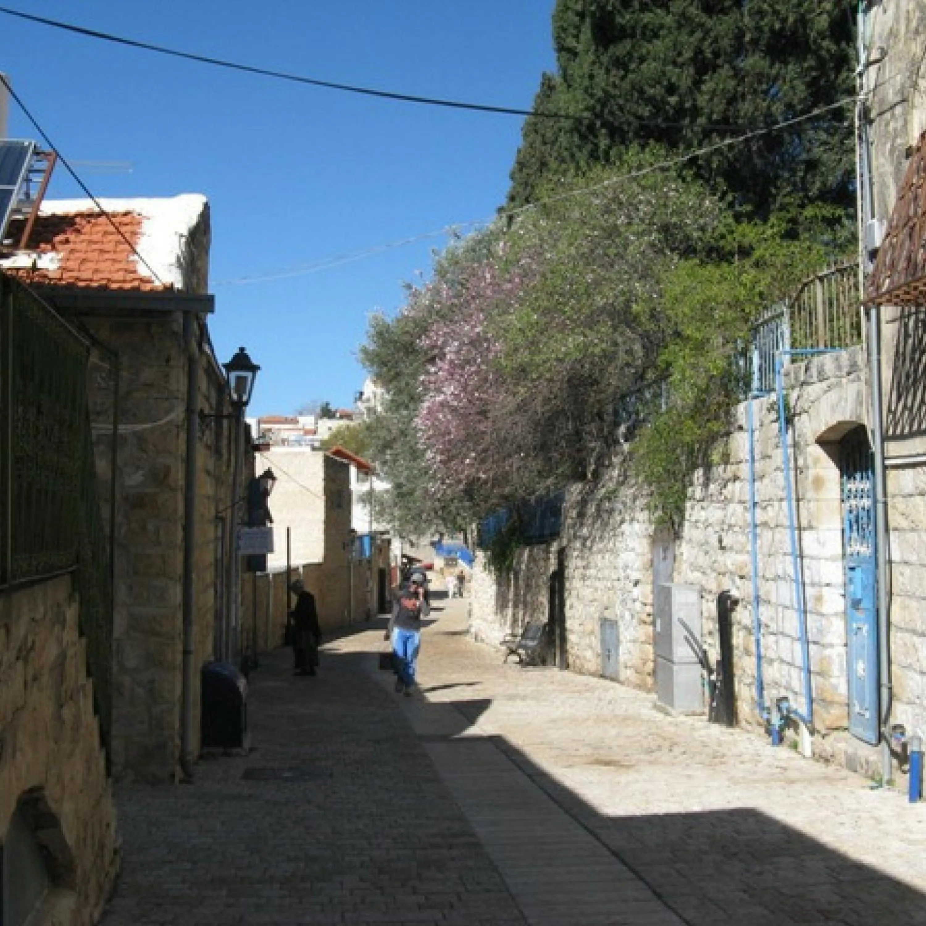 Nearby landmark in Myrtle the Turtle Guesthouse