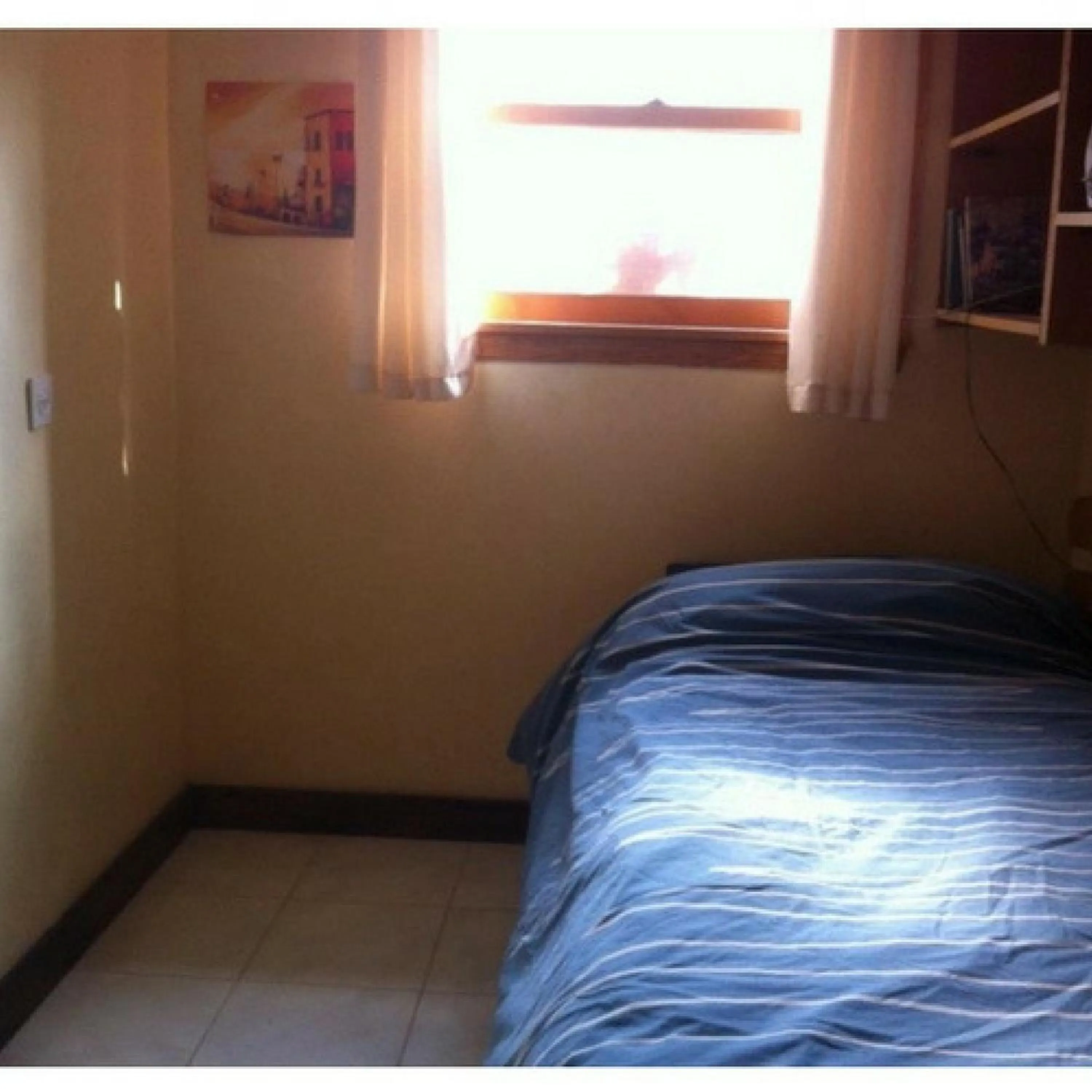 Property building, Bed in Myrtle the Turtle Guesthouse