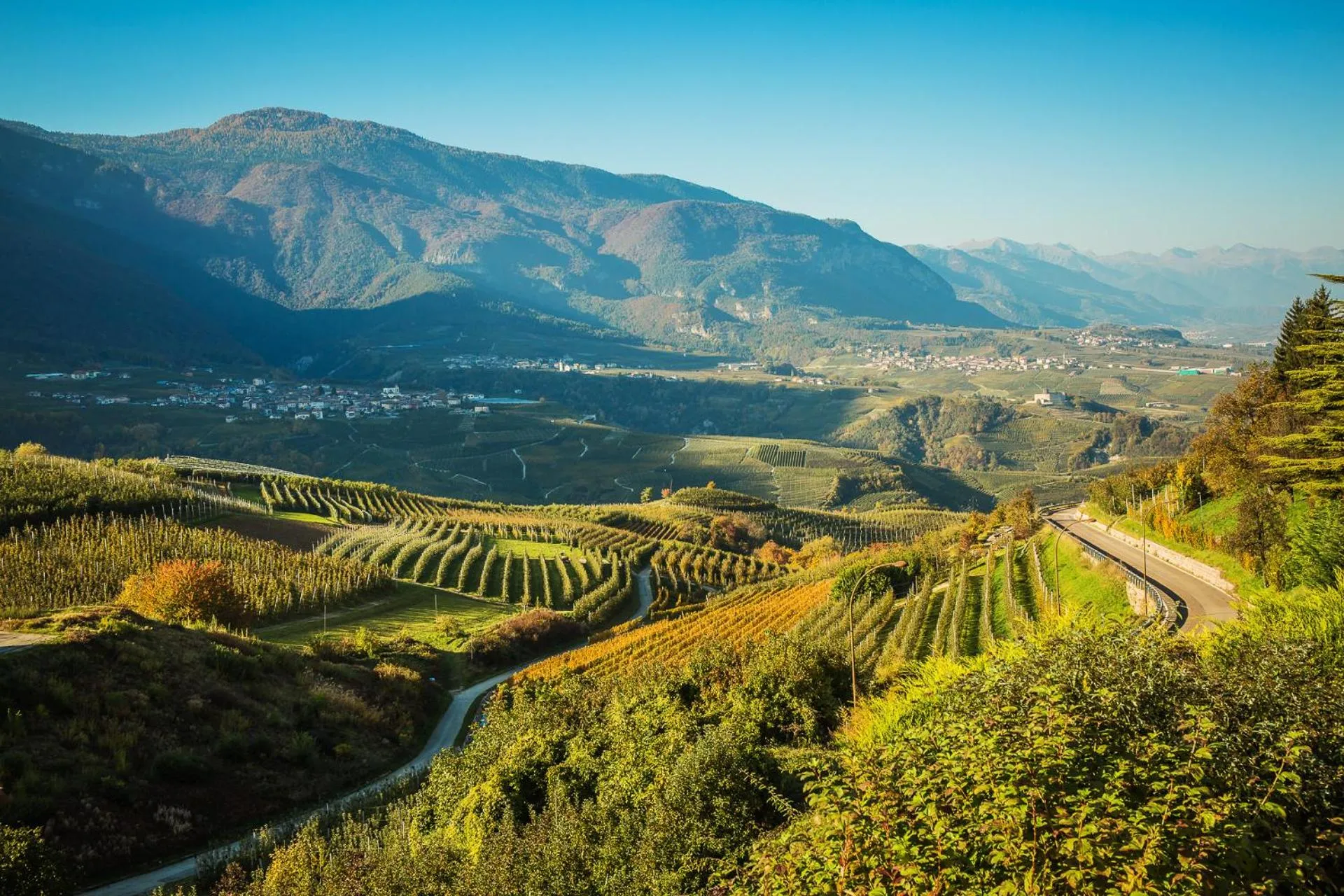 Natural landscape in Appartamenti Decarli