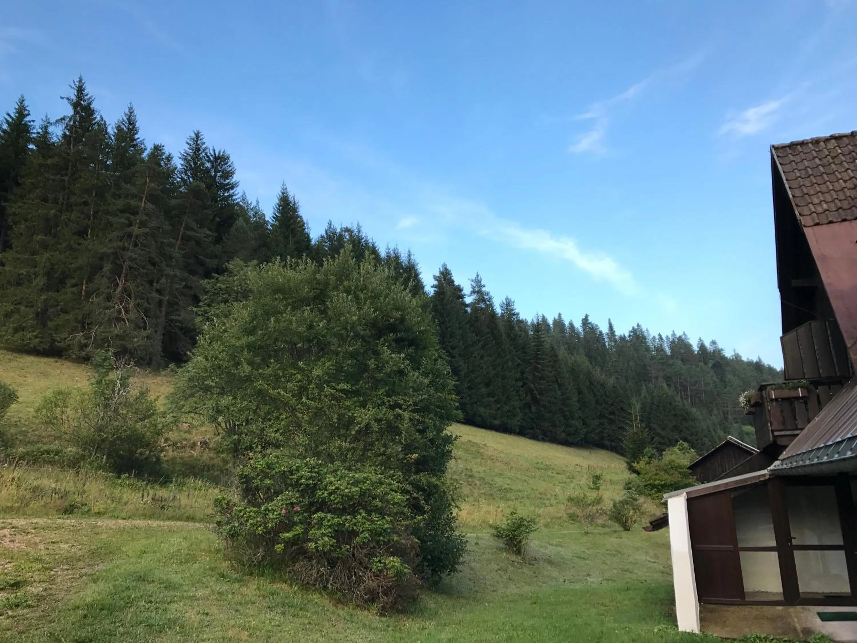 Other in Café - Pension Bernreutehof