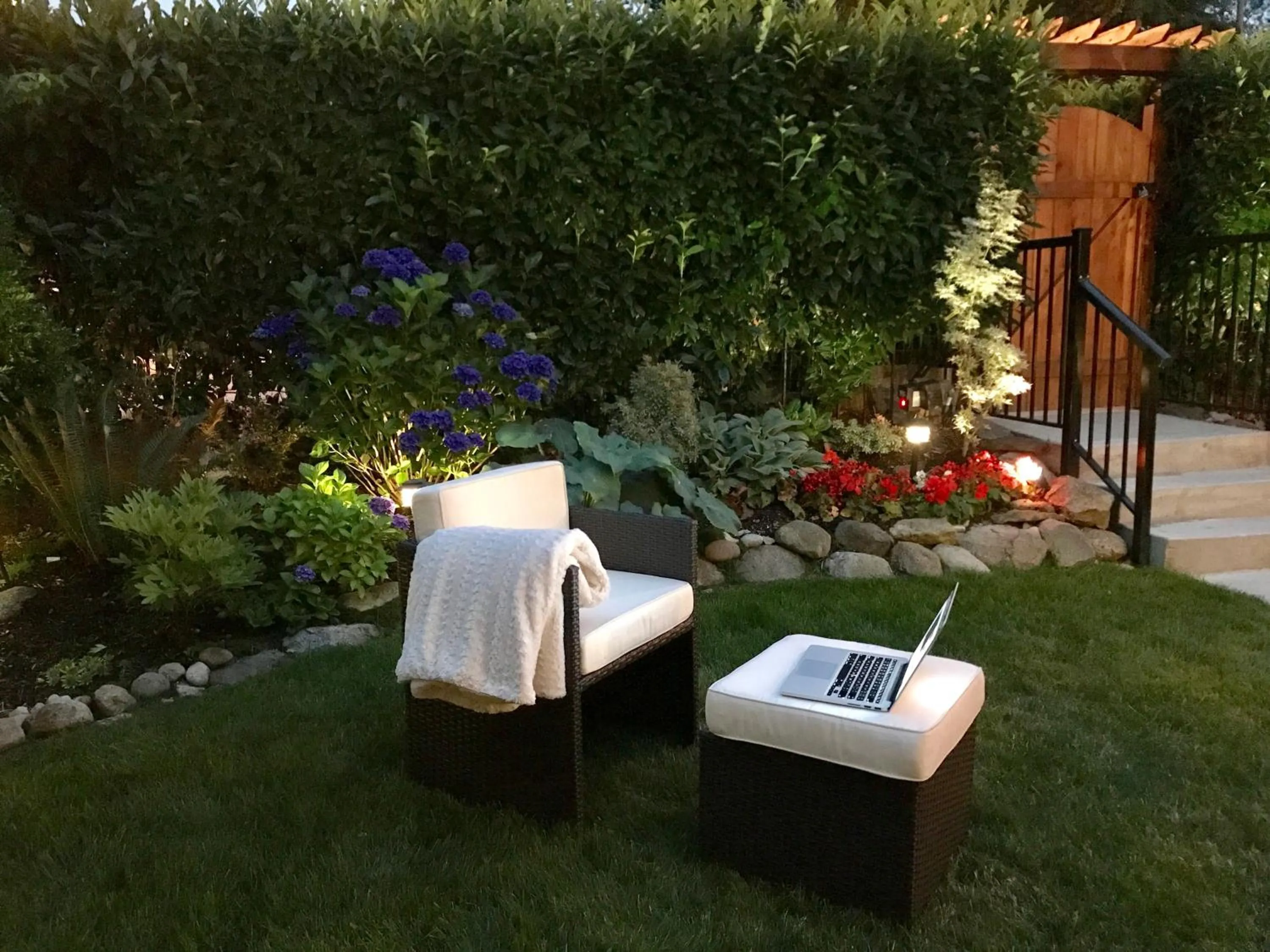 Garden in Bay View House